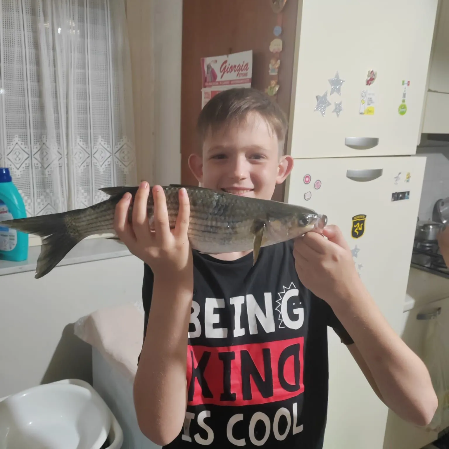 The most recent Thicklip grey mullet catches on Fishbrain