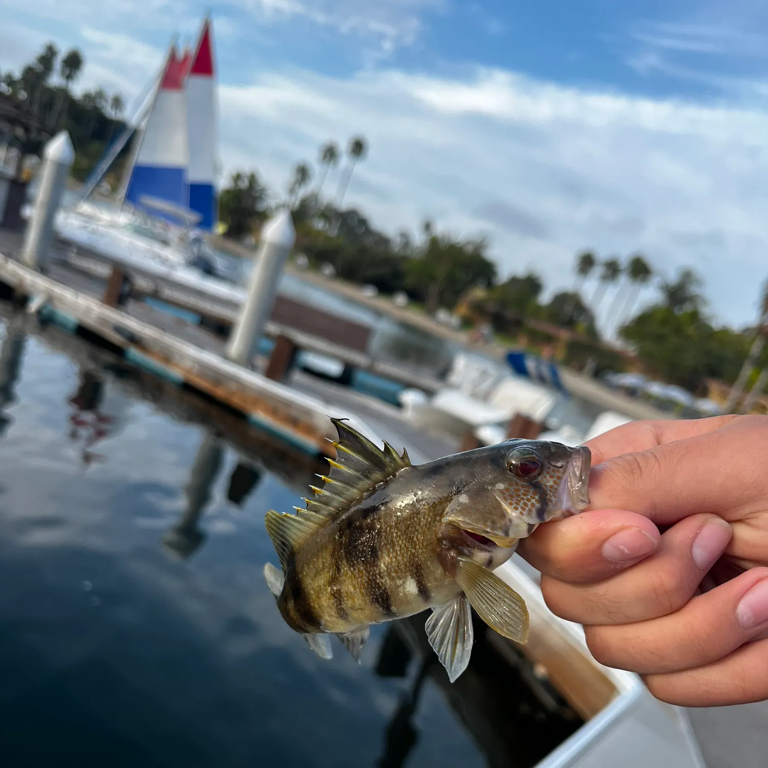 catch