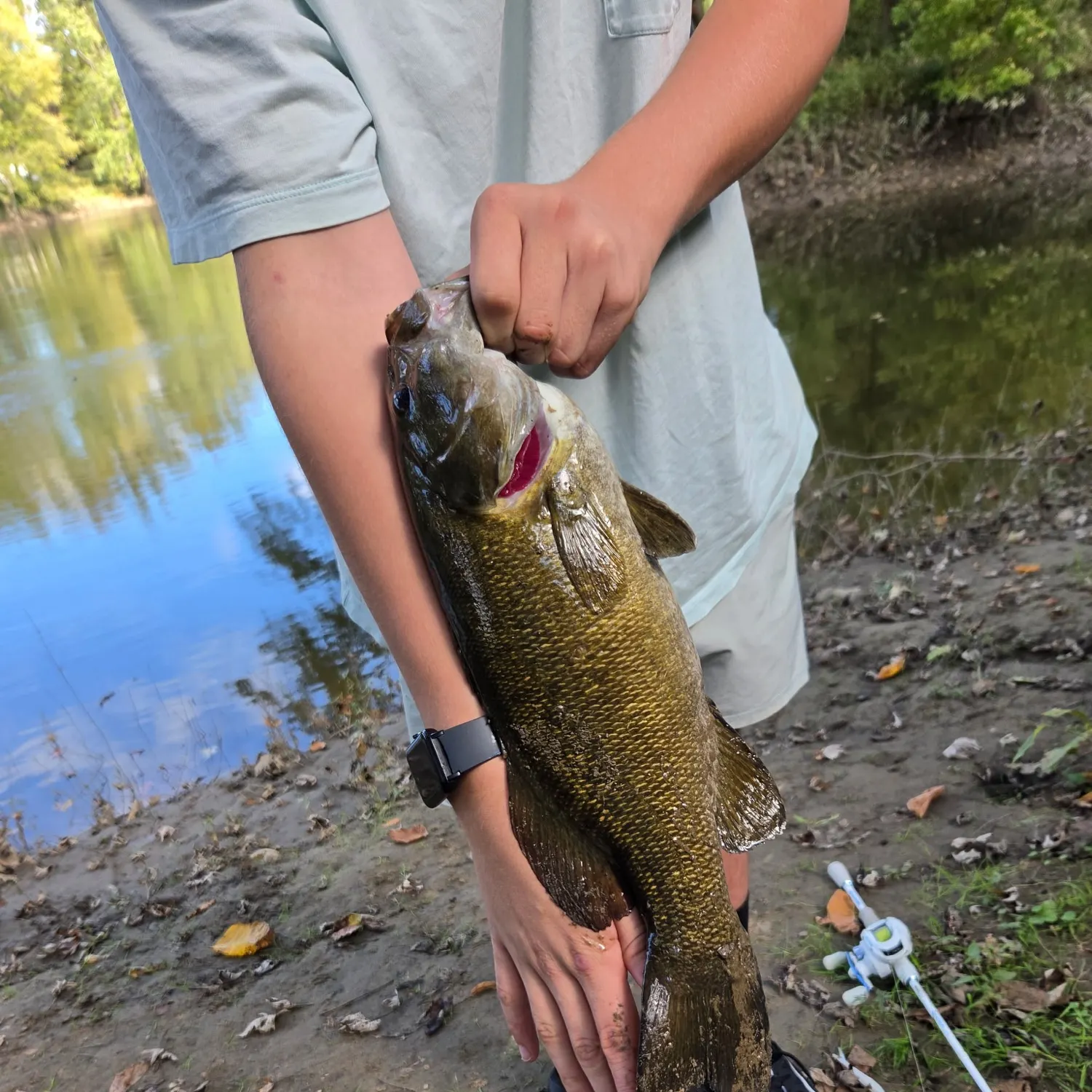 Smallmouth bass caught on Fishbrain