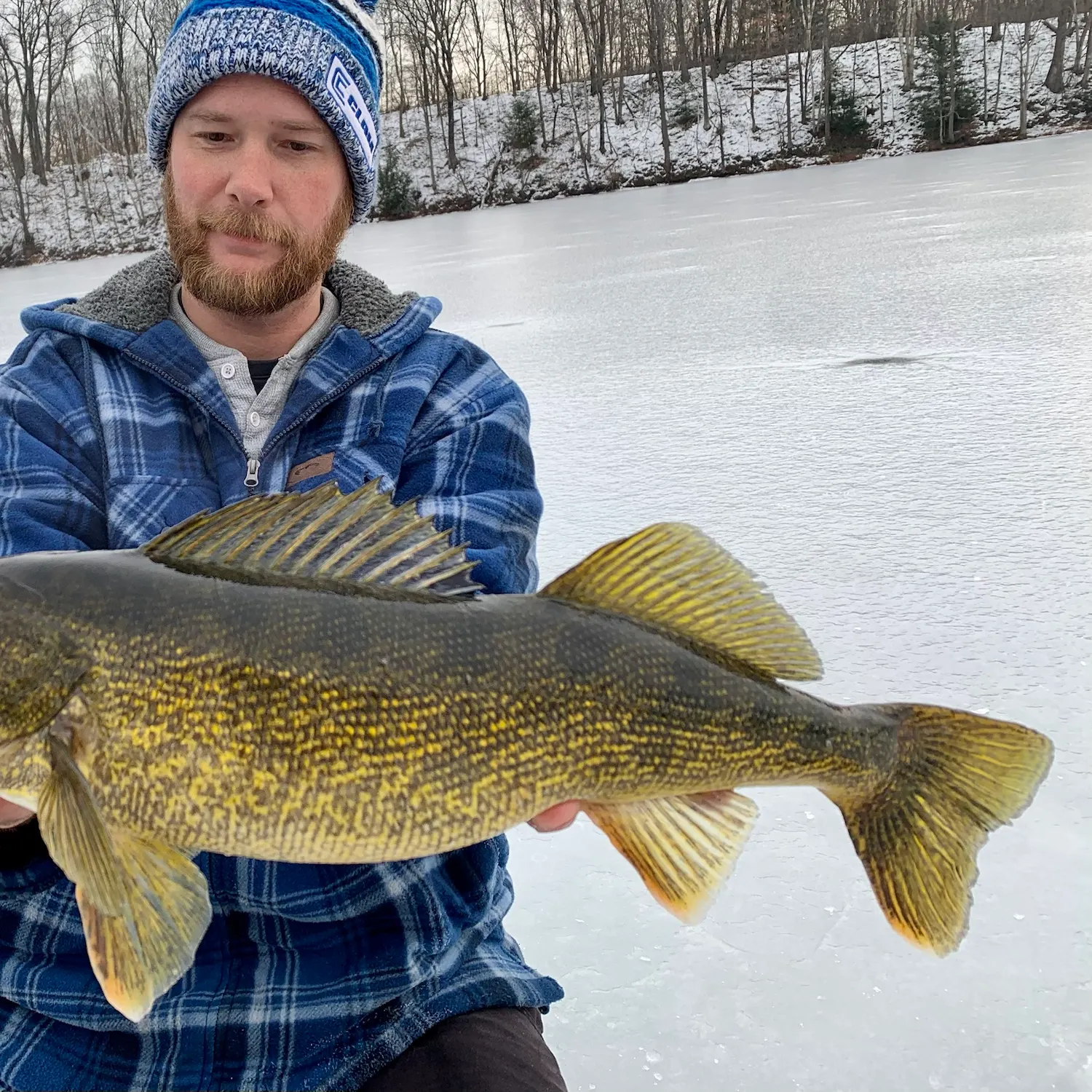 Walleye caught on Fishbrain