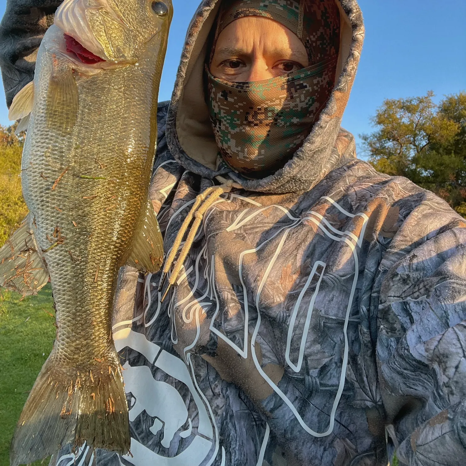 Largemouth bass caught on Fishbrain