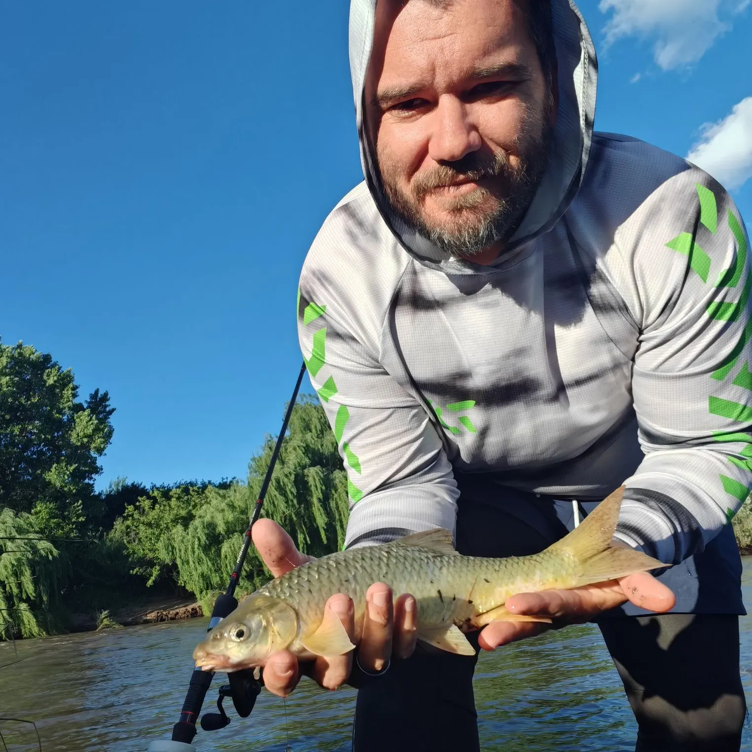 The most recent Smallmouth yellowfish catches on Fishbrain