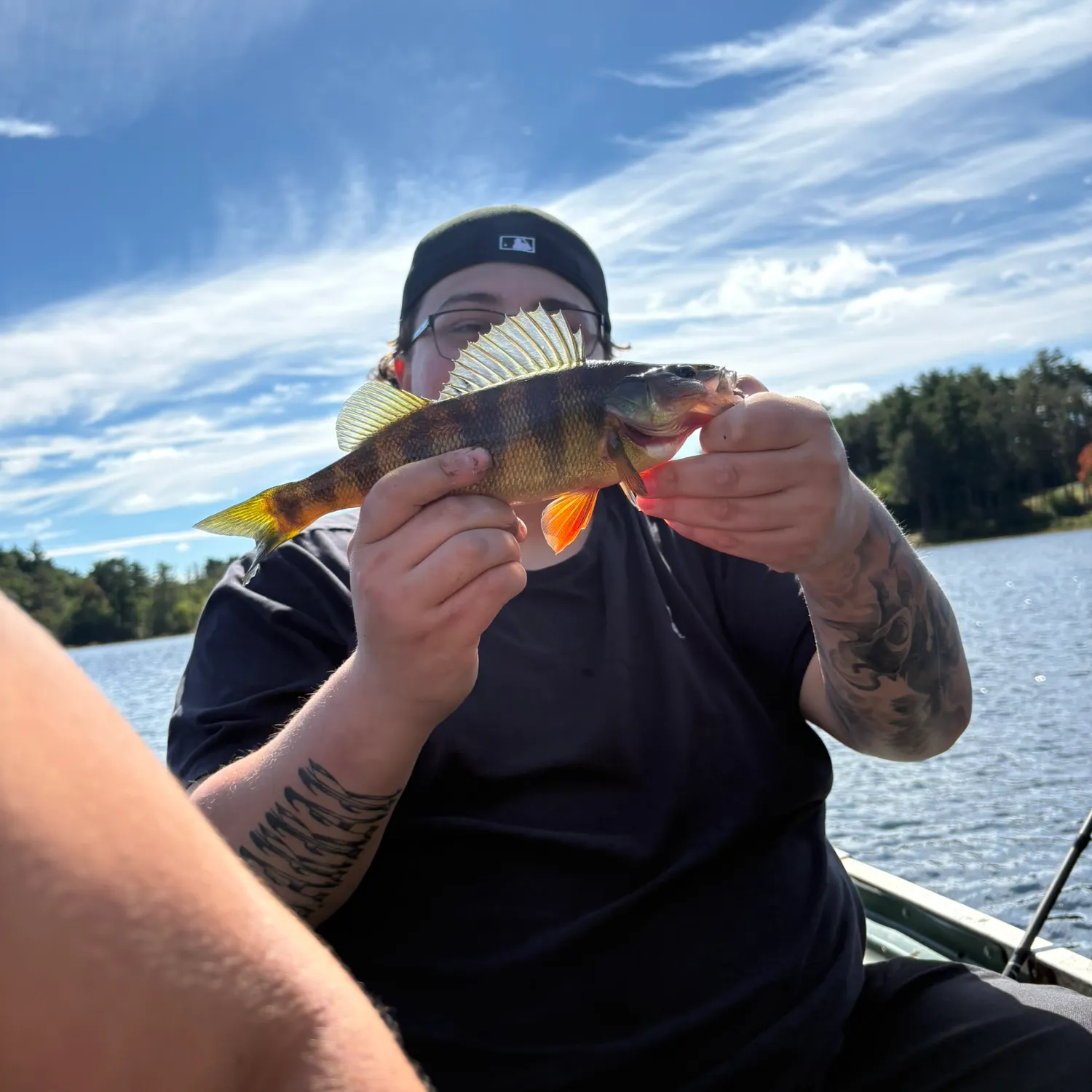 Yellow perch caught on Fishbrain