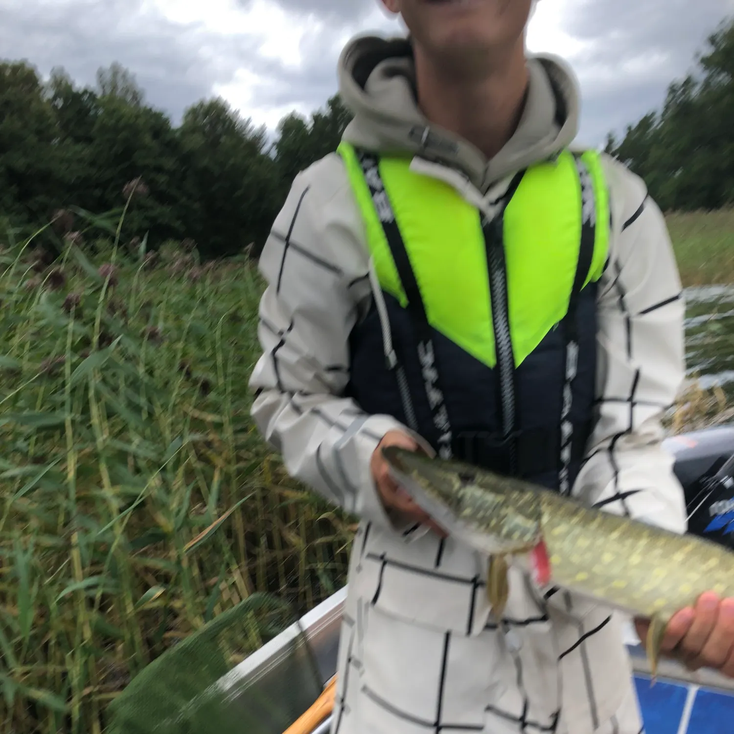 Northern pike caught on Fishbrain