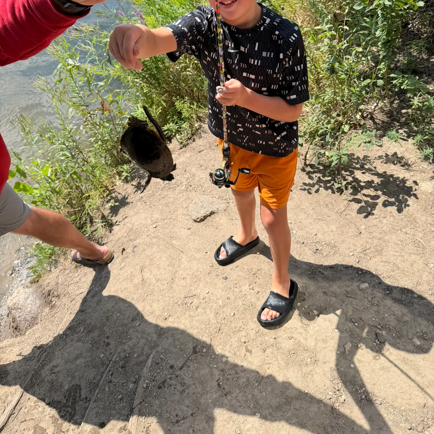 Painted turtle caught on Fishbrain