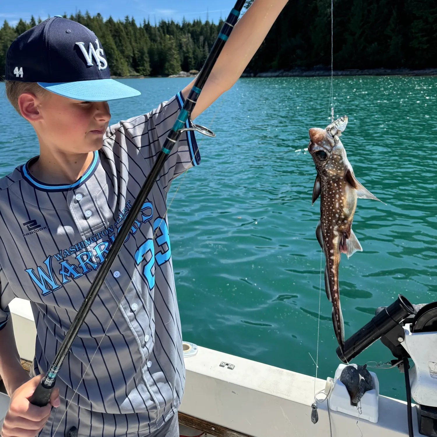 The most recent Spotted ratfish catches on Fishbrain