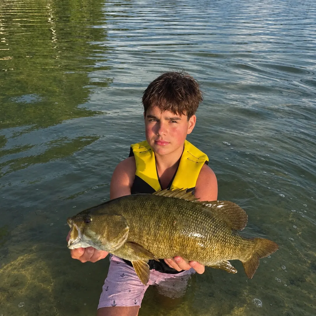 Smallmouth bass caught on Fishbrain