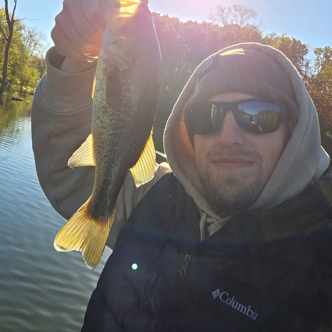 Largemouth bass caught on Fishbrain
