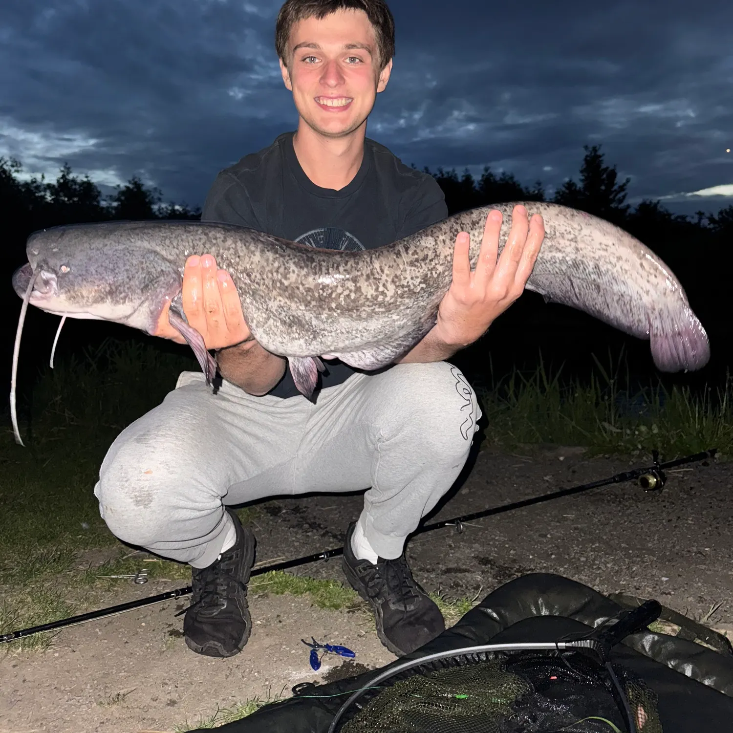 The most recent Wels catfish catches on Fishbrain