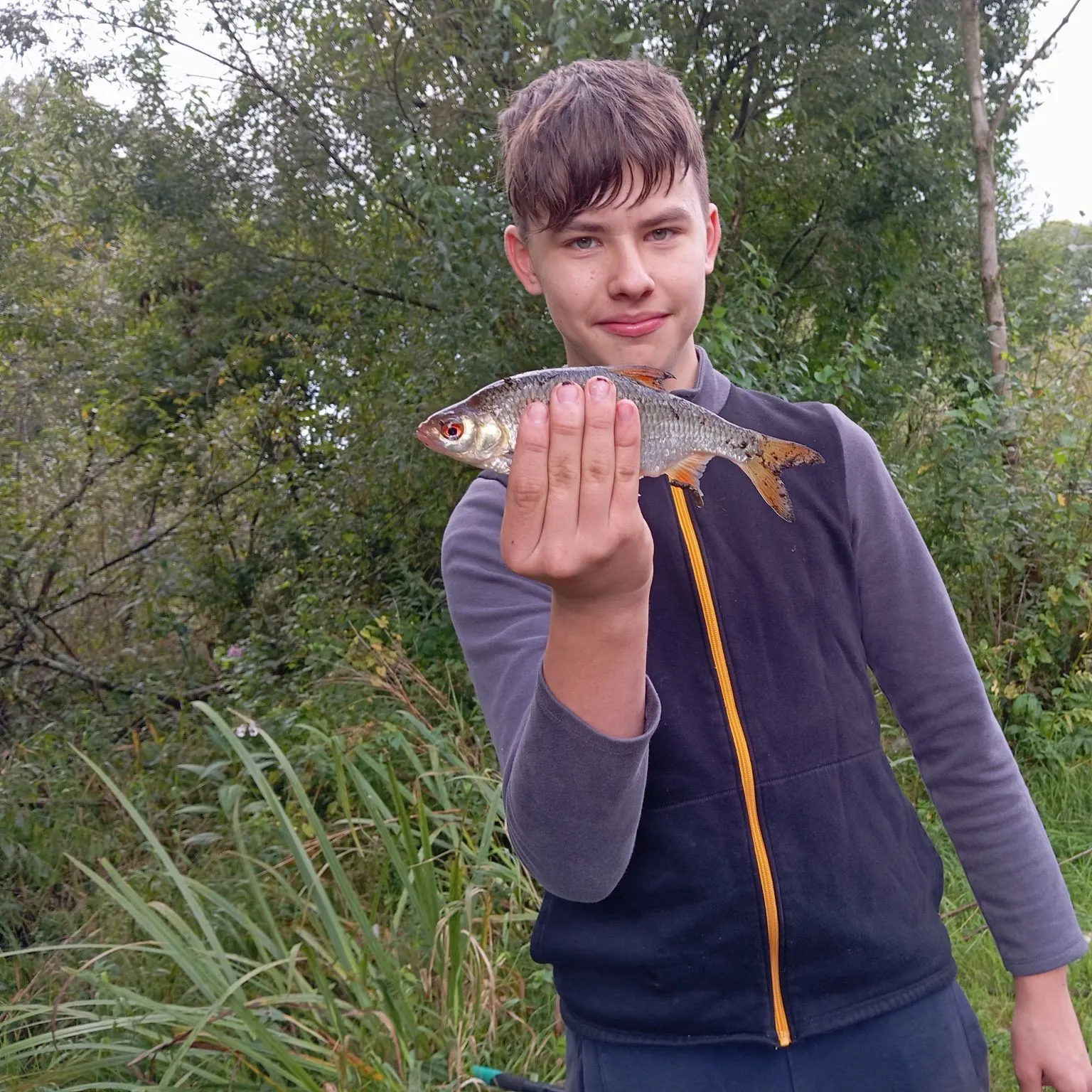 Common rudd caught on Fishbrain
