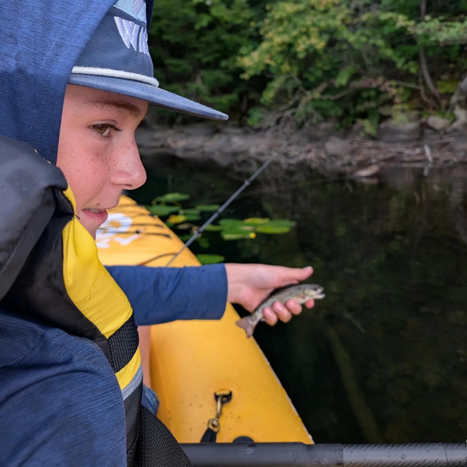 Brook trout caught on Fishbrain