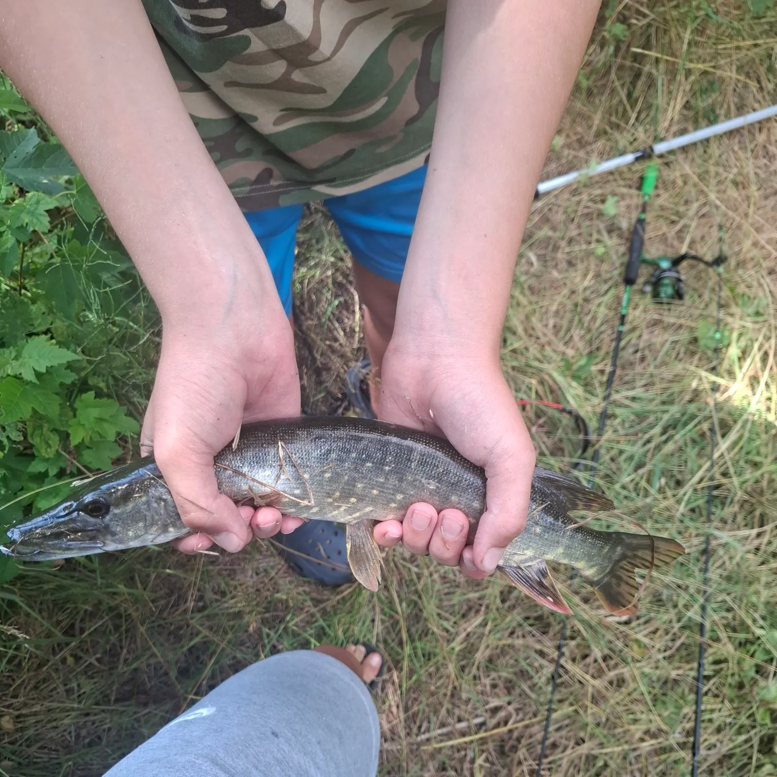 catch
