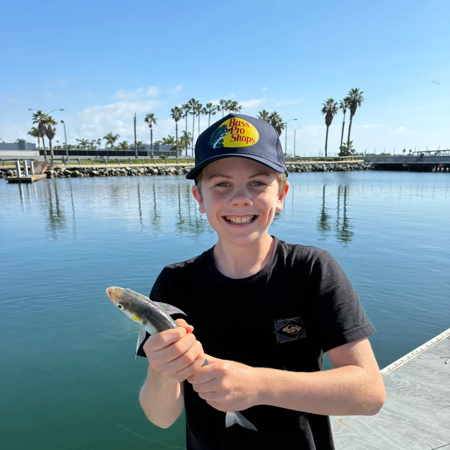 The most recent Queenfish catches on Fishbrain