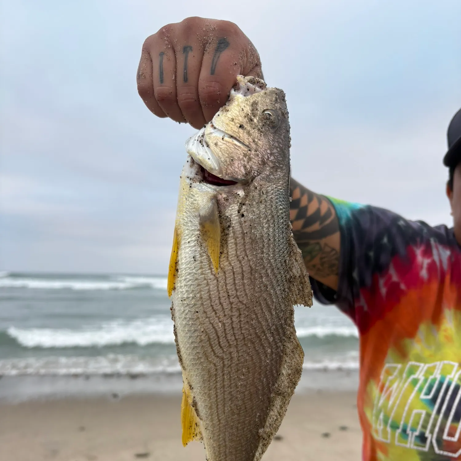 catch