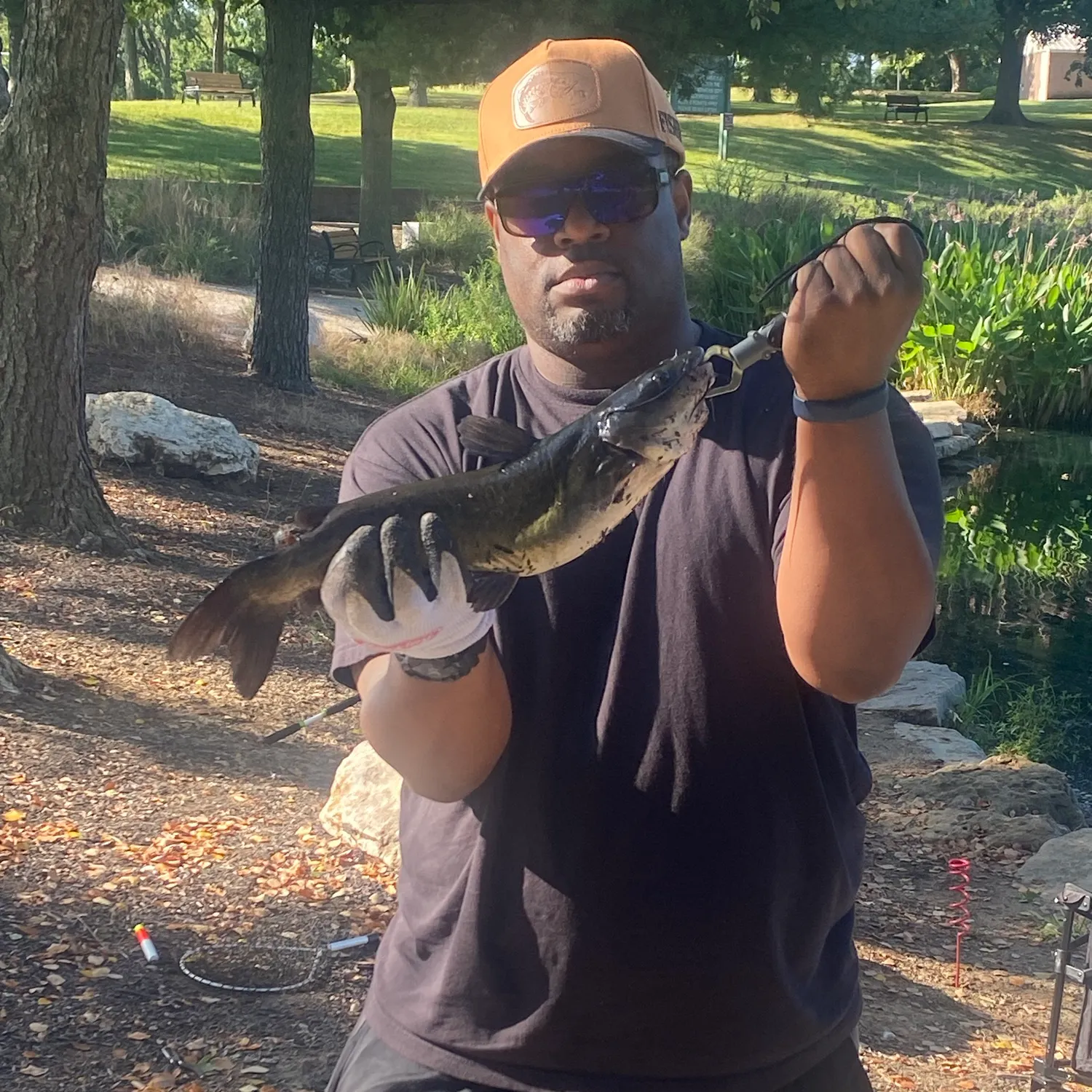 Channel catfish caught on Fishbrain