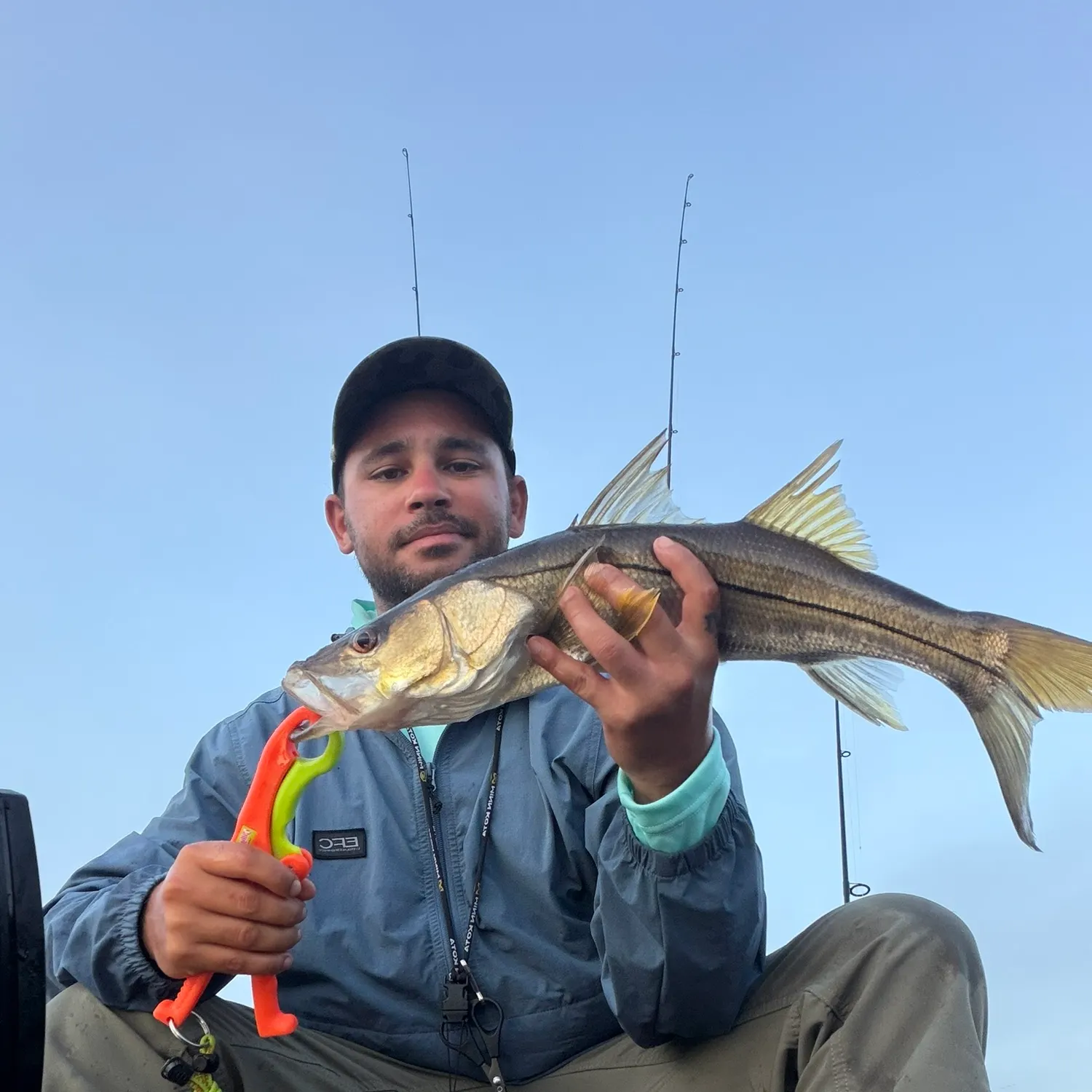 Common snook caught on Fishbrain