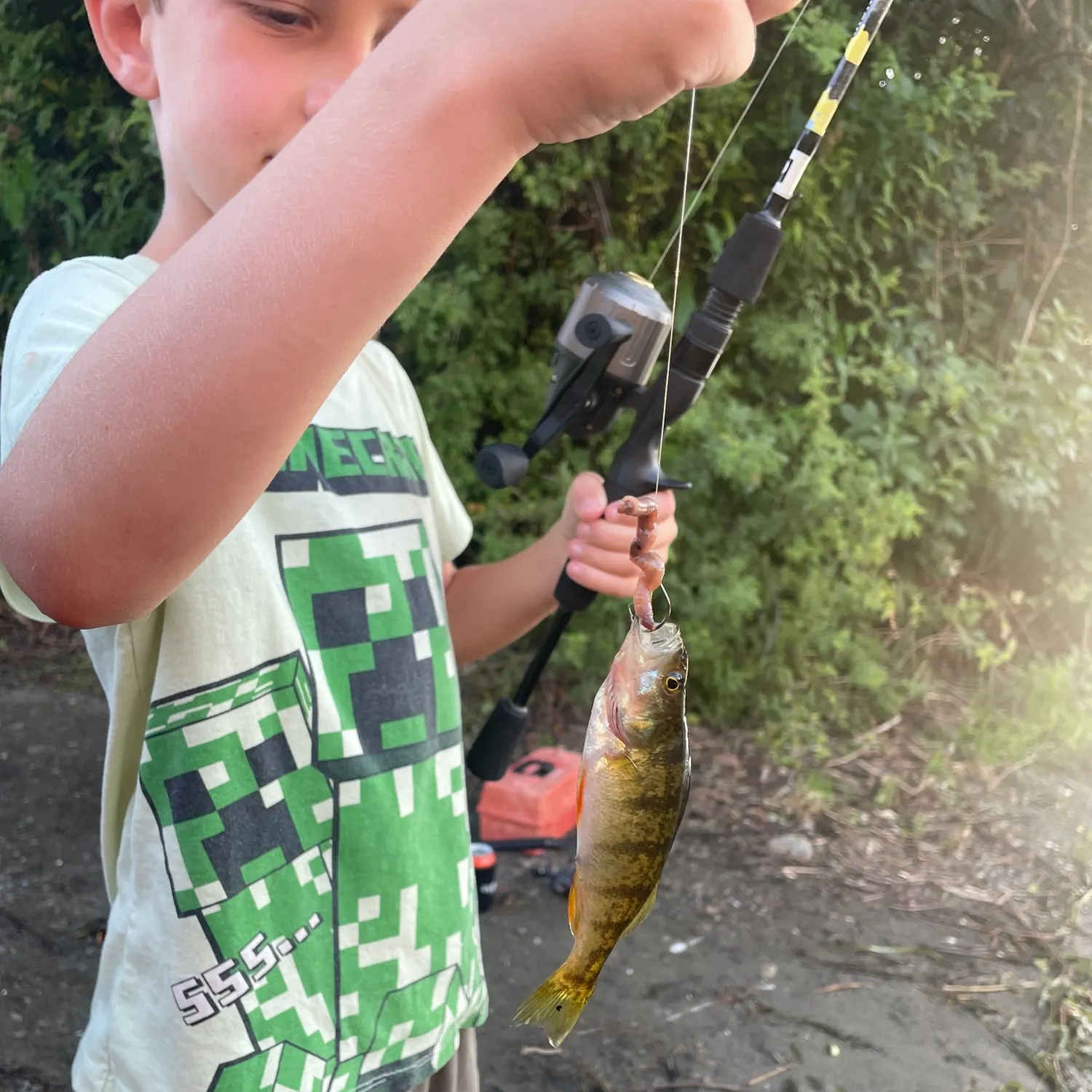 catch