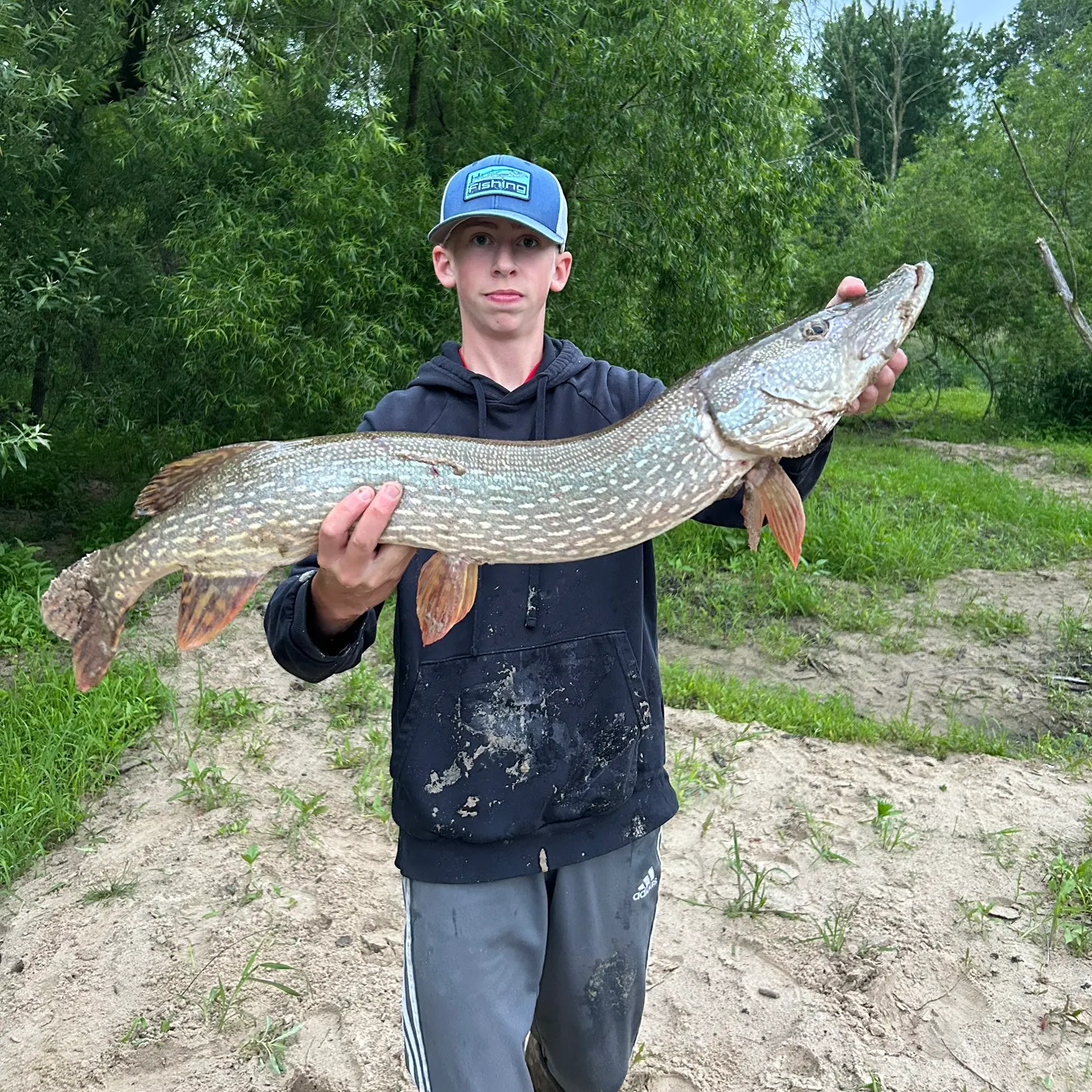 Northern pike caught on Fishbrain