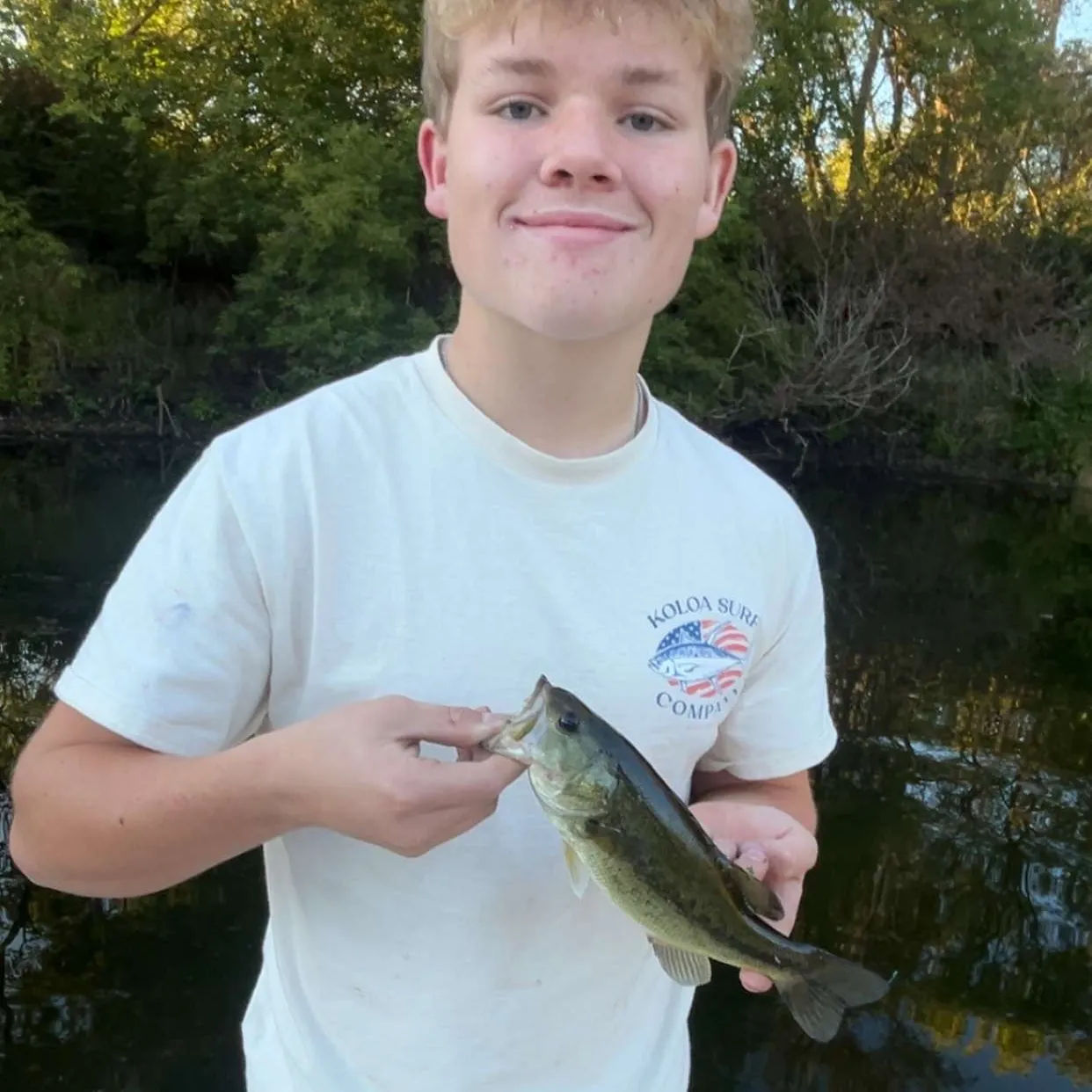 Largemouth bass caught on Fishbrain