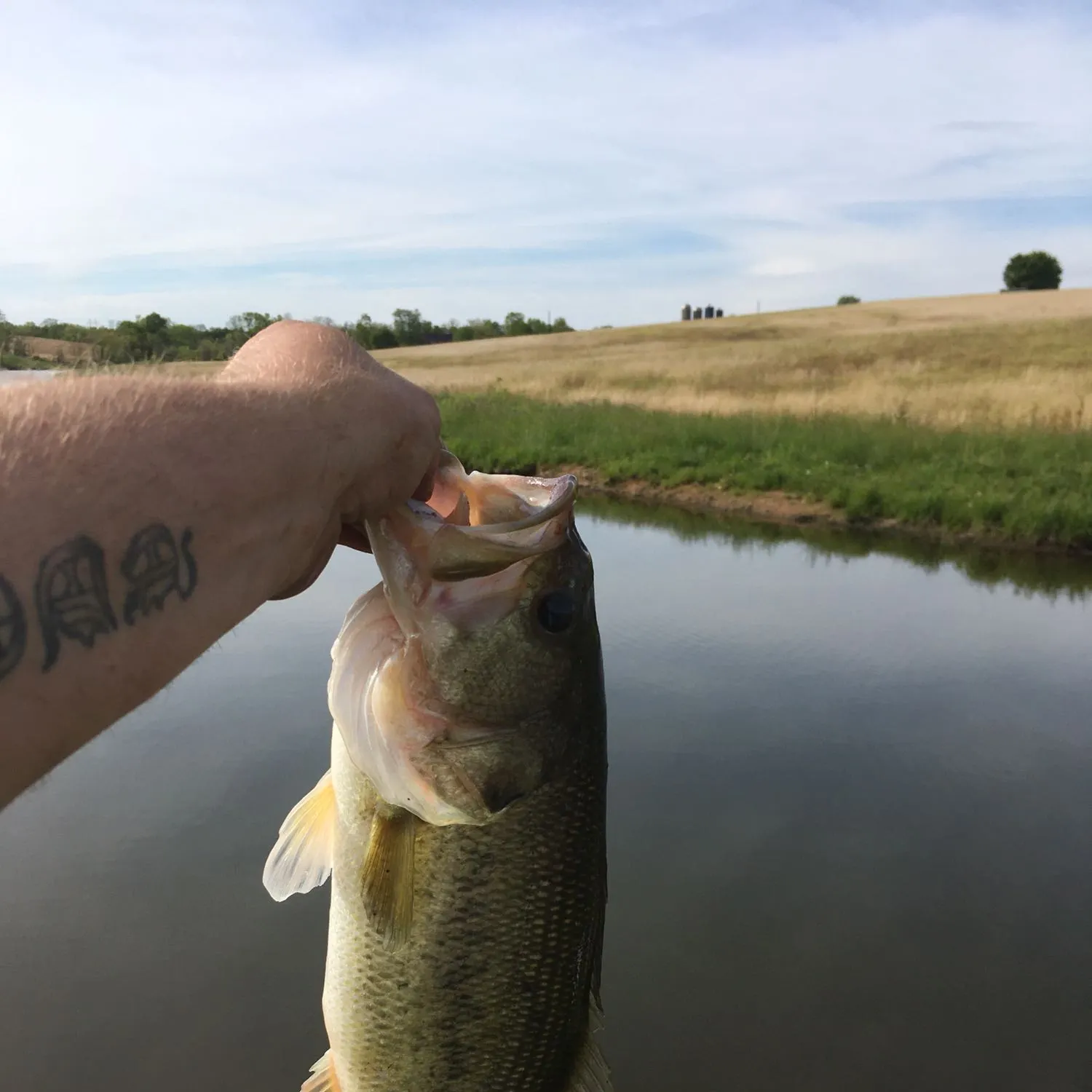 angler catch