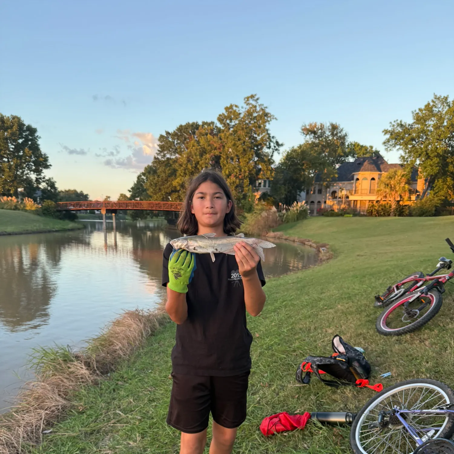 Channel catfish caught on Fishbrain