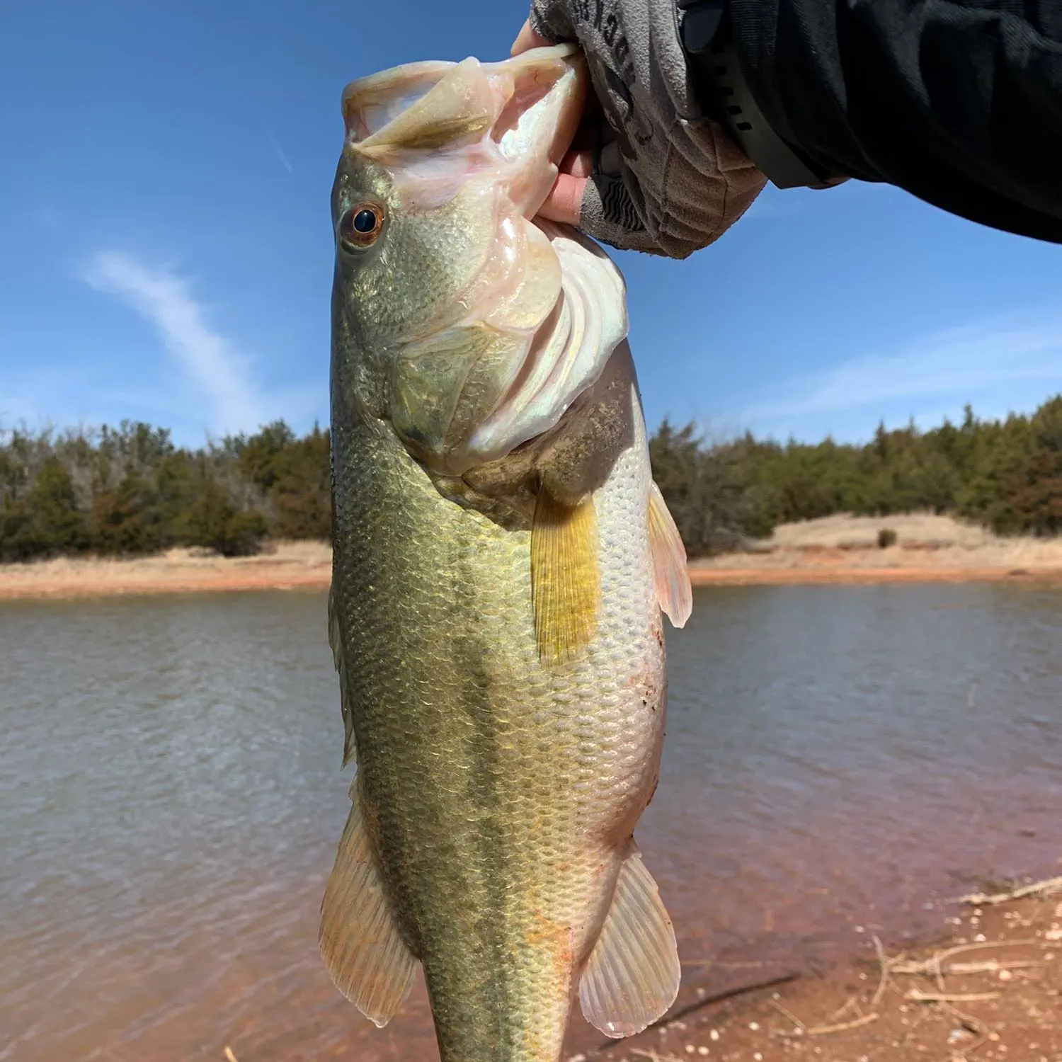 angler catch
