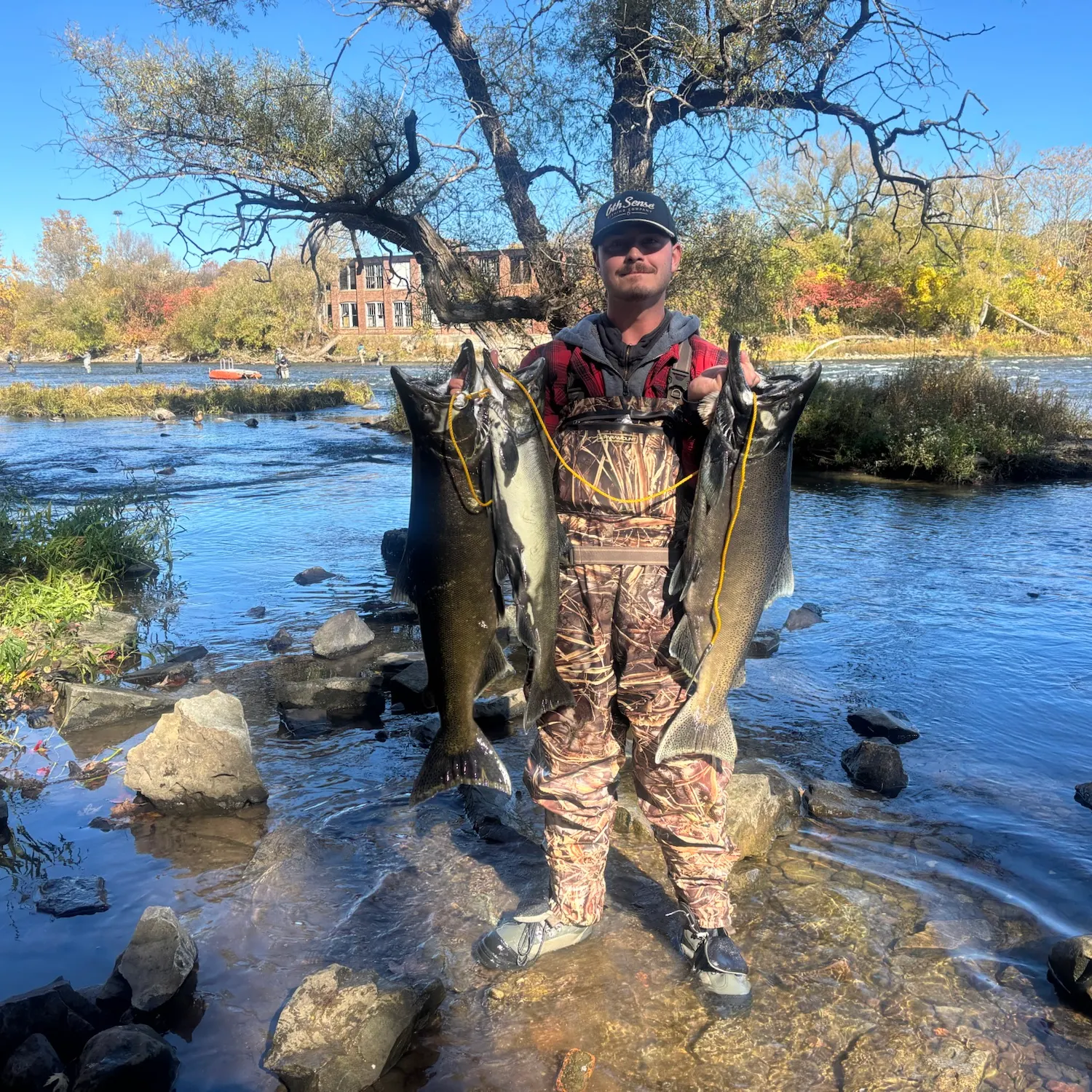 Chinook salmon caught on Fishbrain