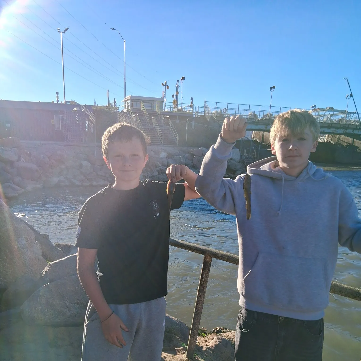 Stonecat caught on Fishbrain