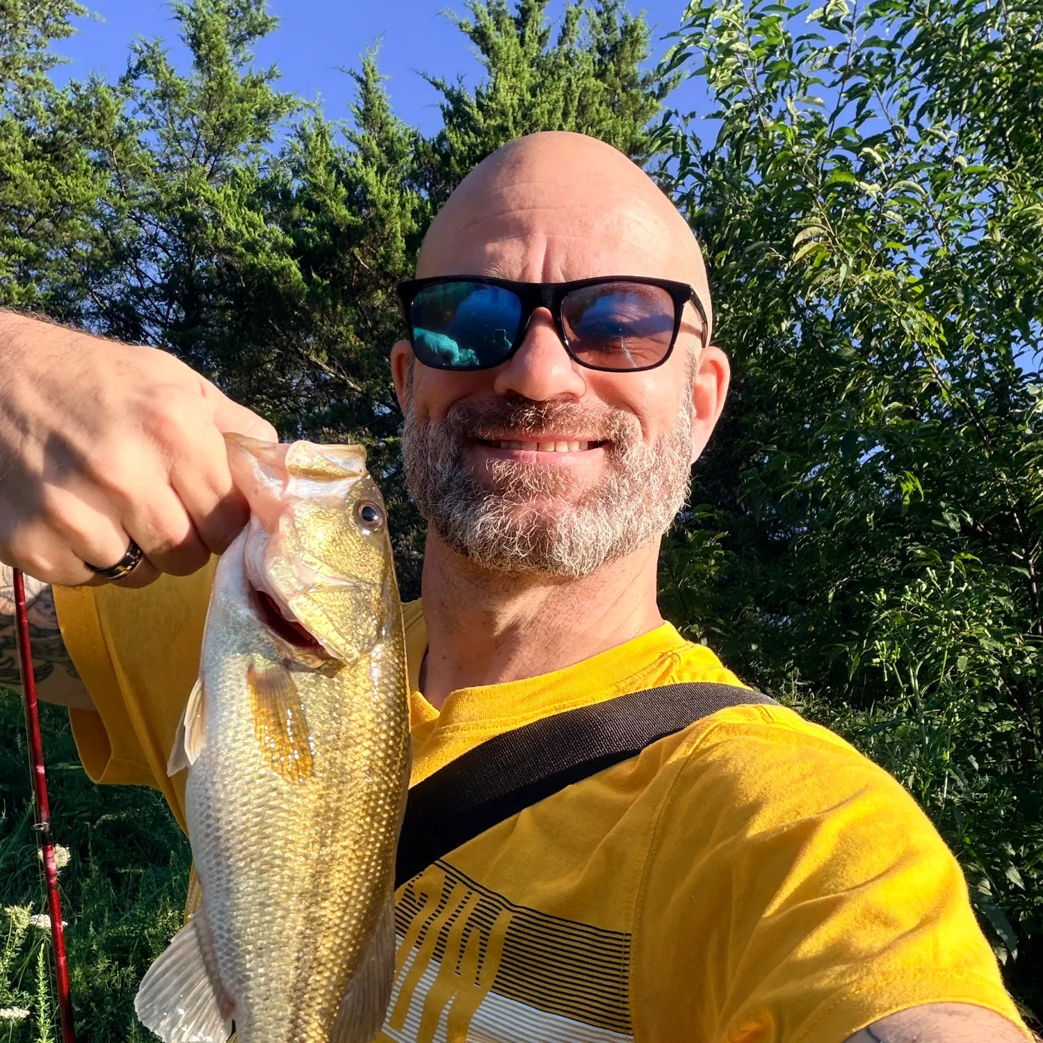 Largemouth bass caught on Fishbrain