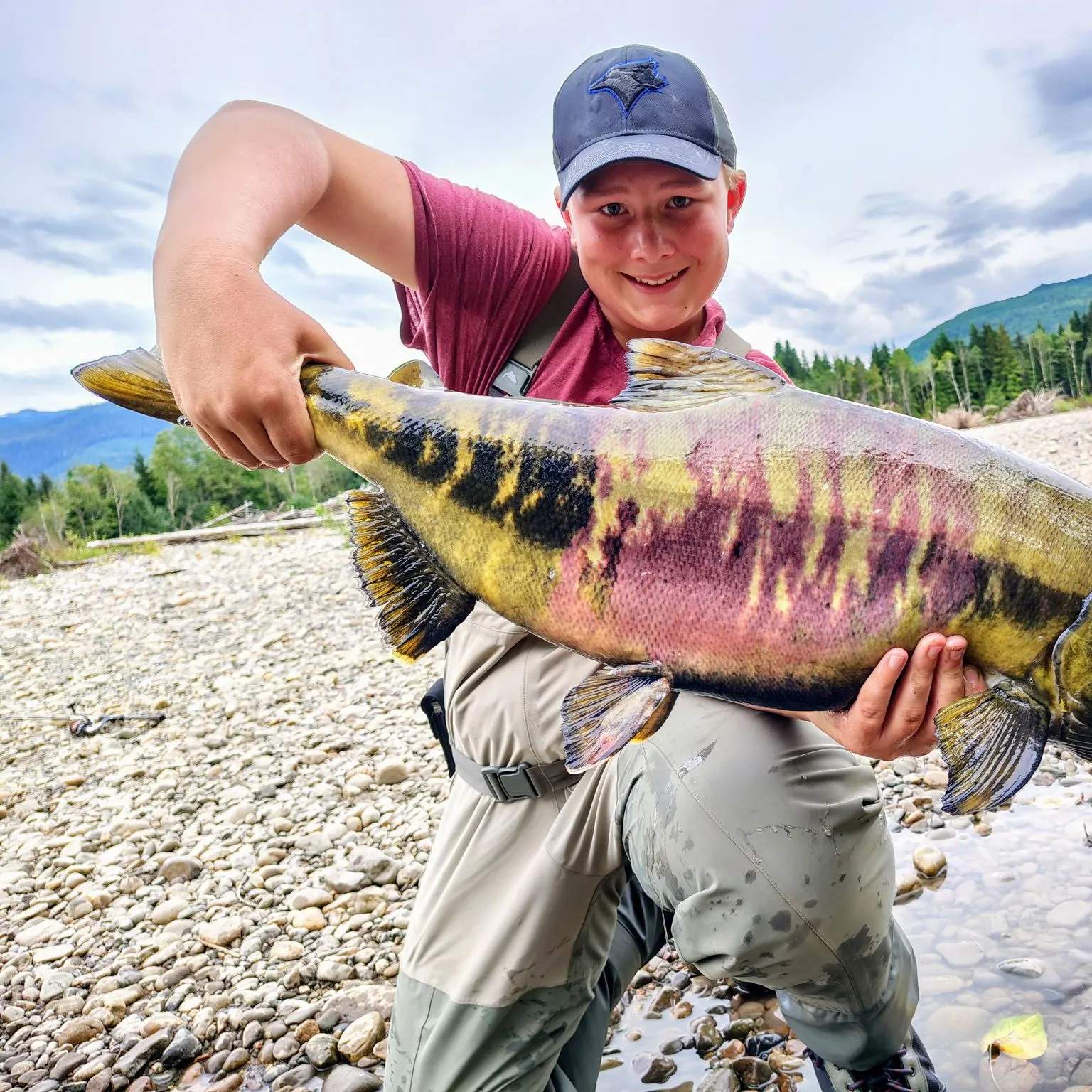 The most recent Chum salmon catches on Fishbrain