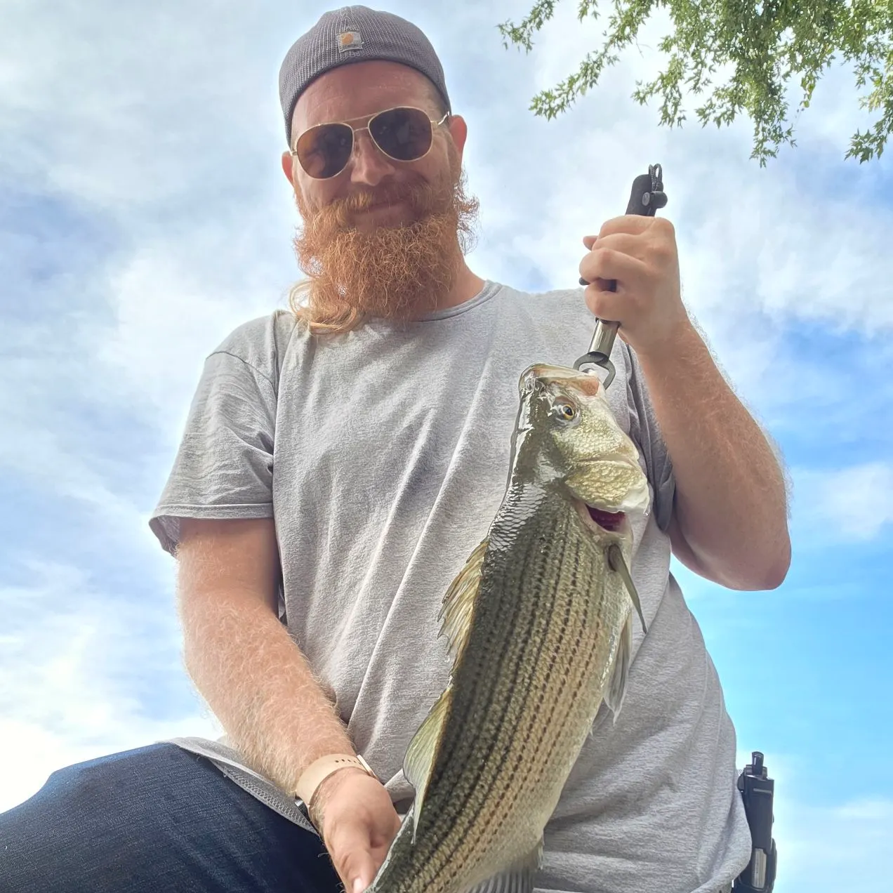 Wiper caught on Fishbrain