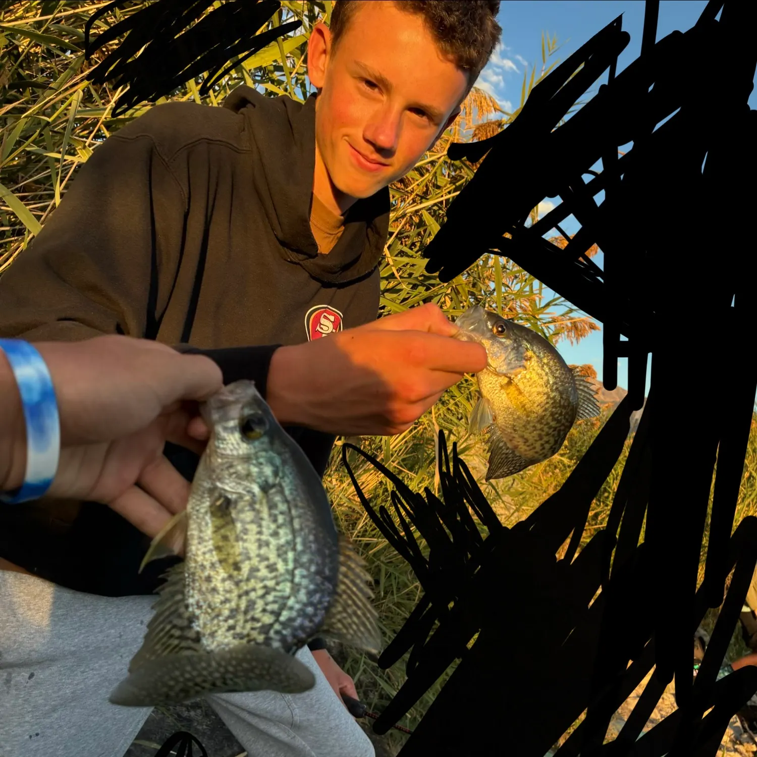 Black crappie caught on Fishbrain