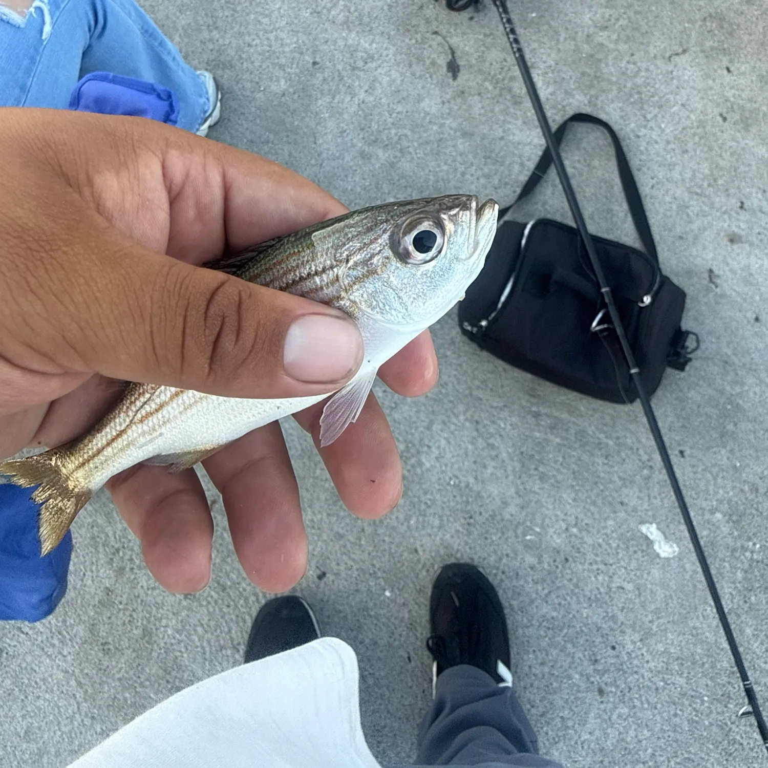 catch