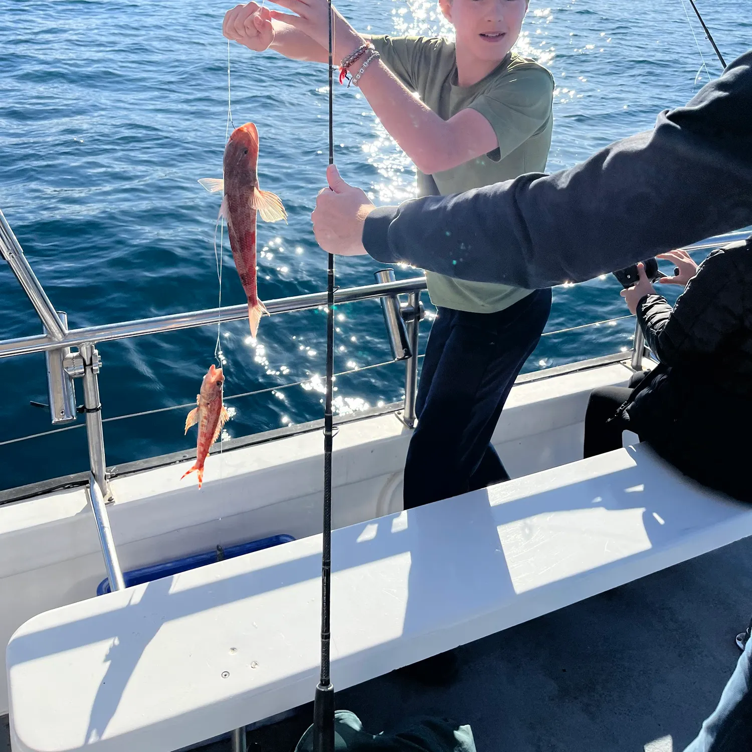 The most recent Sergeant Baker catches on Fishbrain