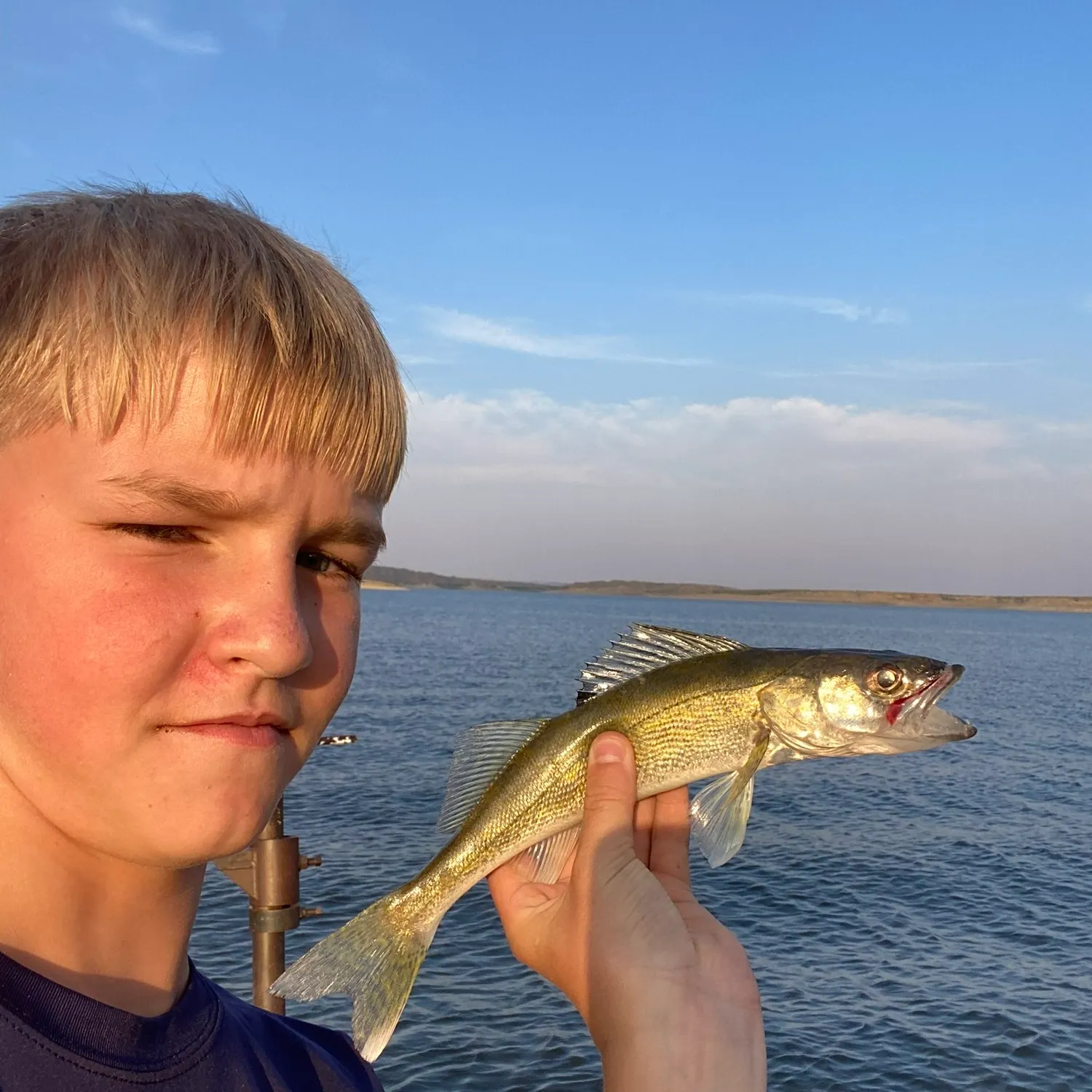 The most recent Walleye catches on Fishbrain