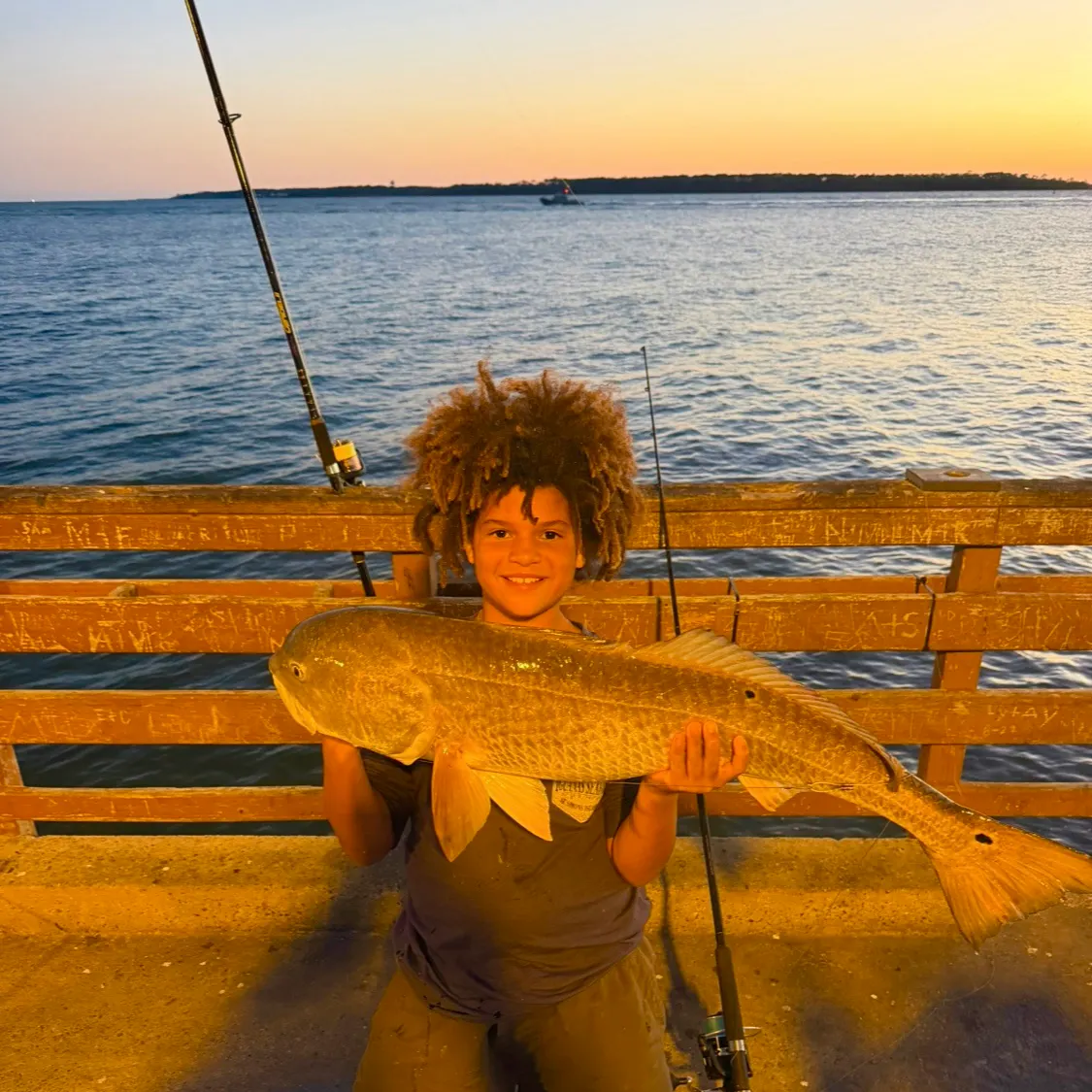 Red drum caught on Fishbrain