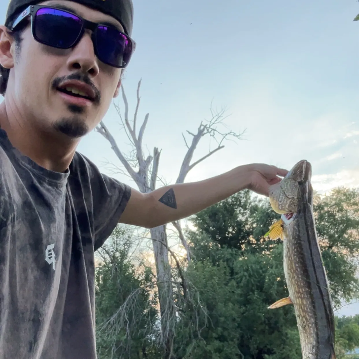 Northern pike caught on Fishbrain