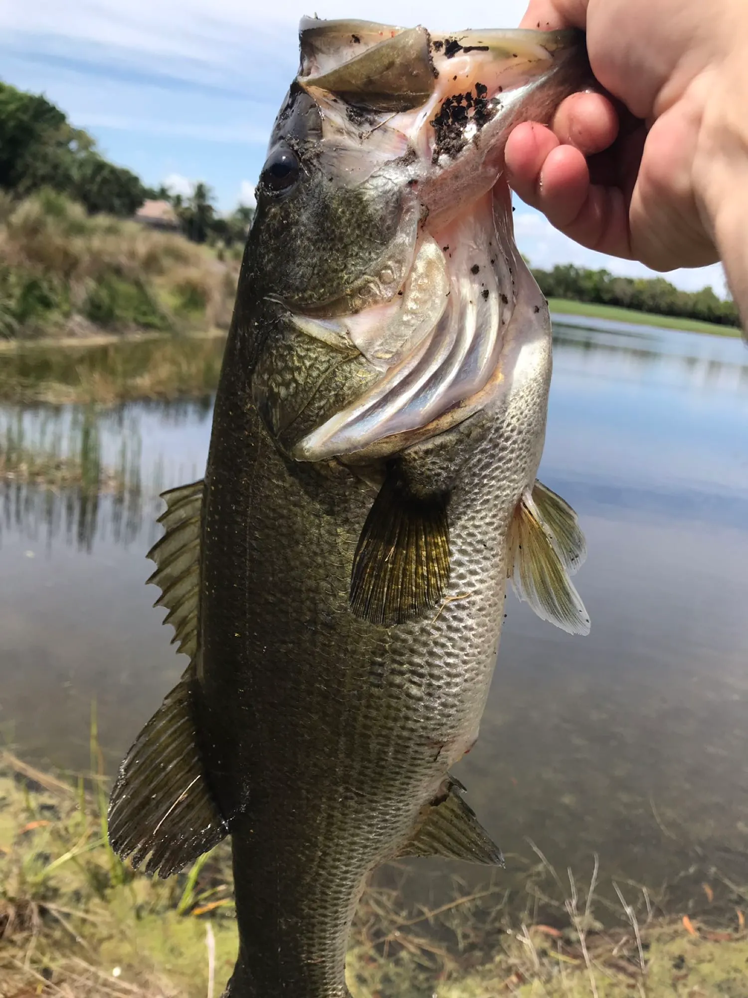 Post image from jeremypogue