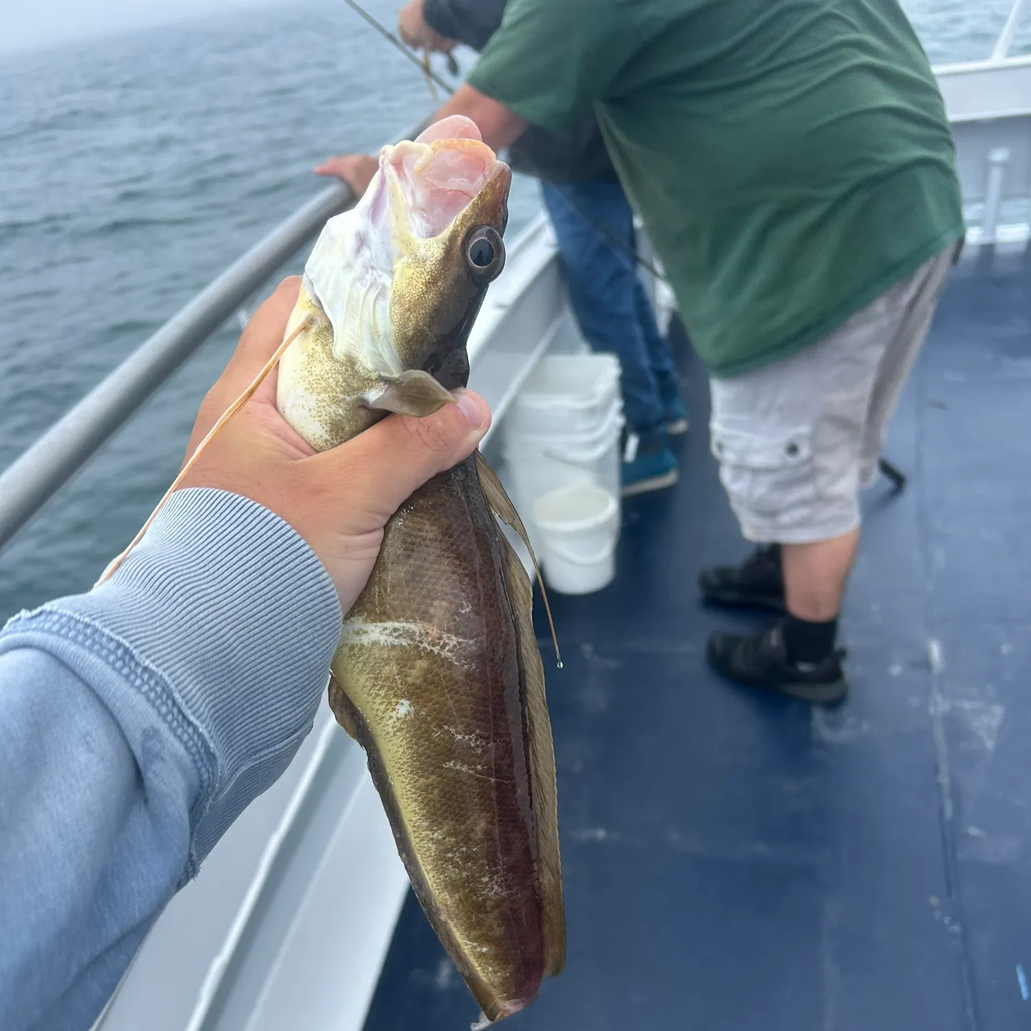 most liked catch image