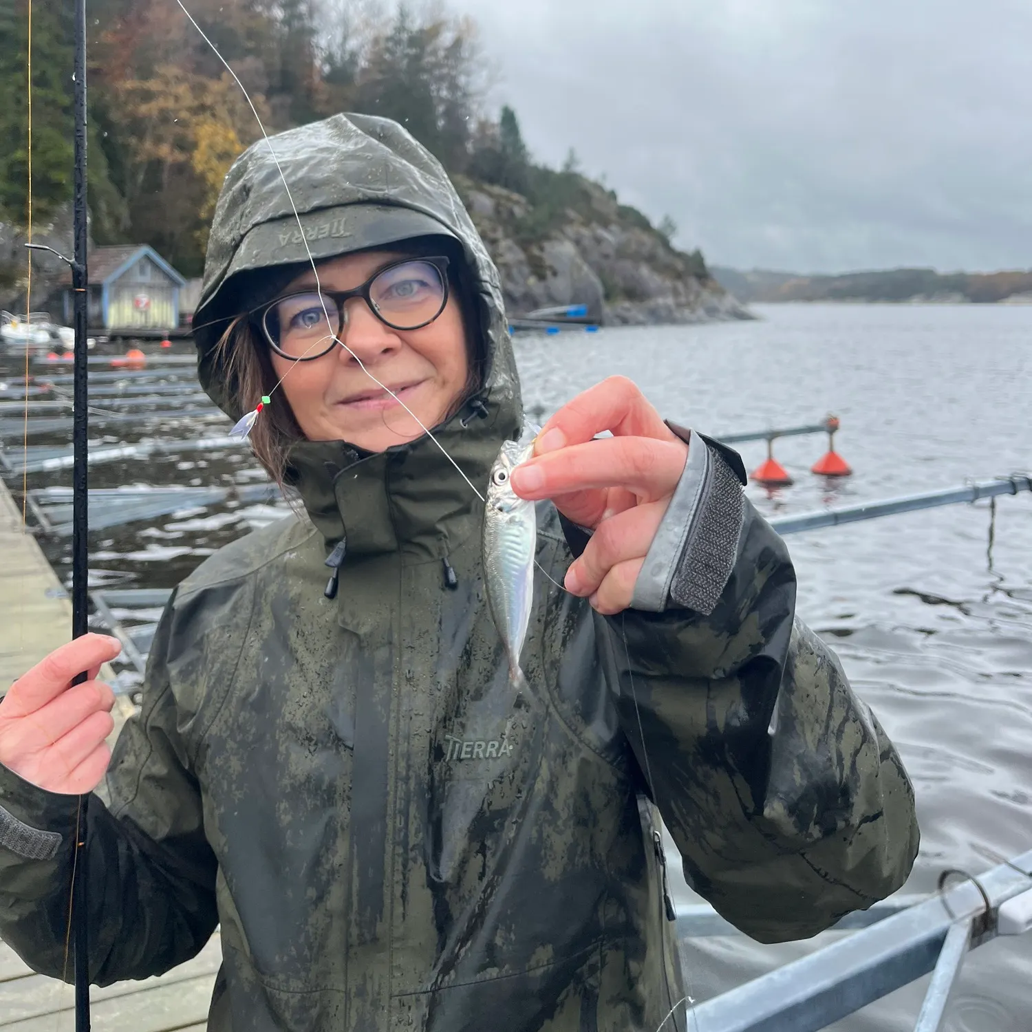 The most recent Atlantic horse mackerel catches on Fishbrain