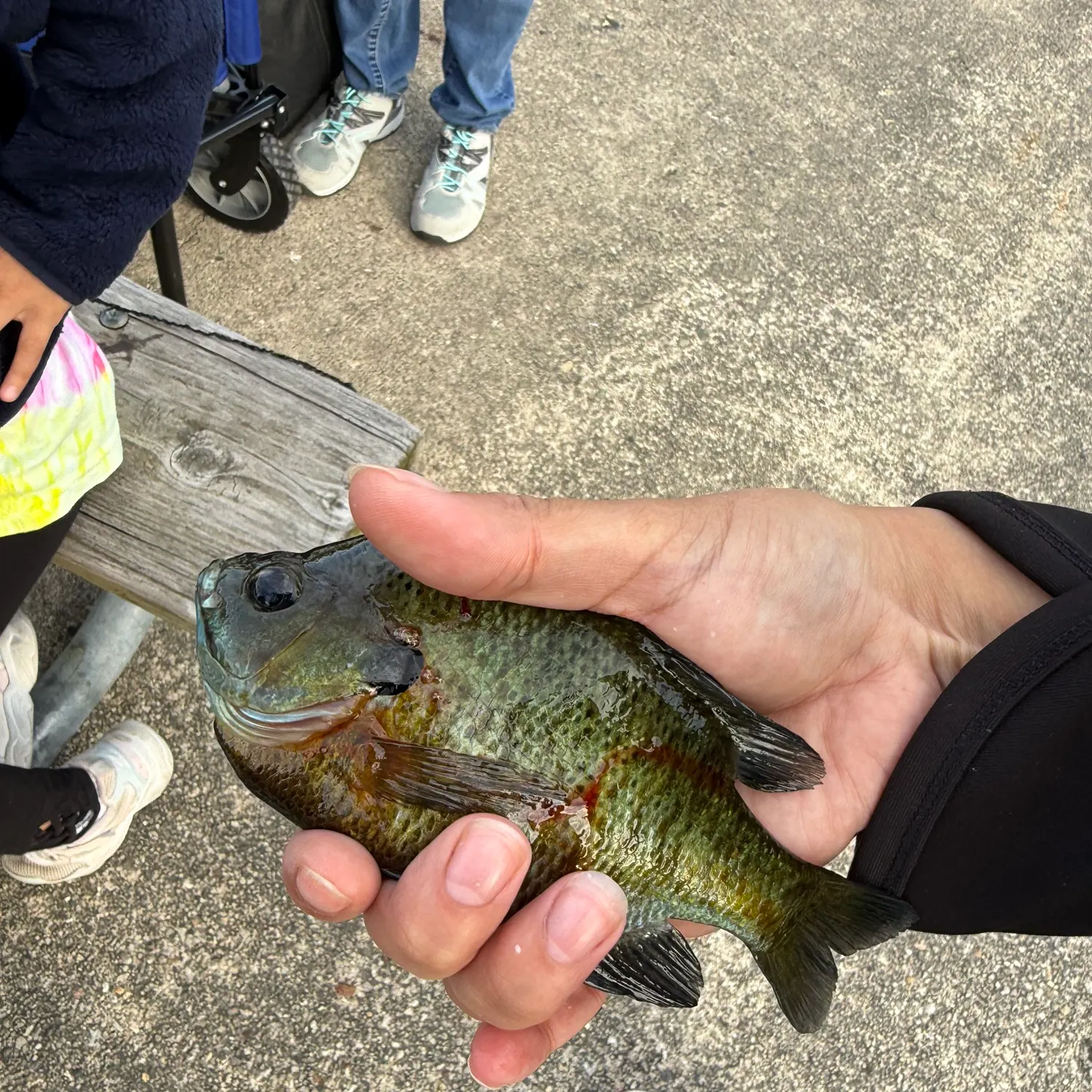 catch