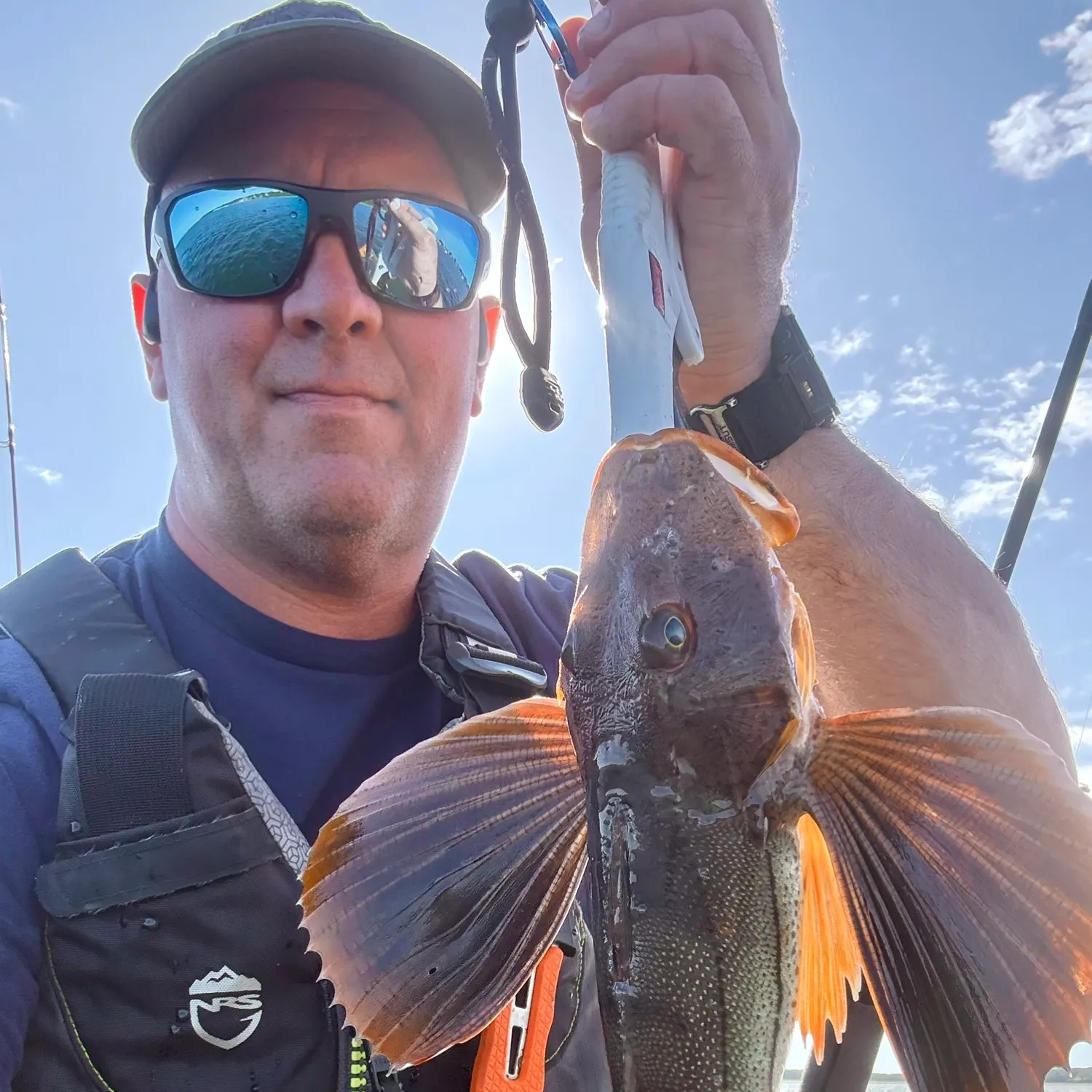 Striped searobin caught on Fishbrain