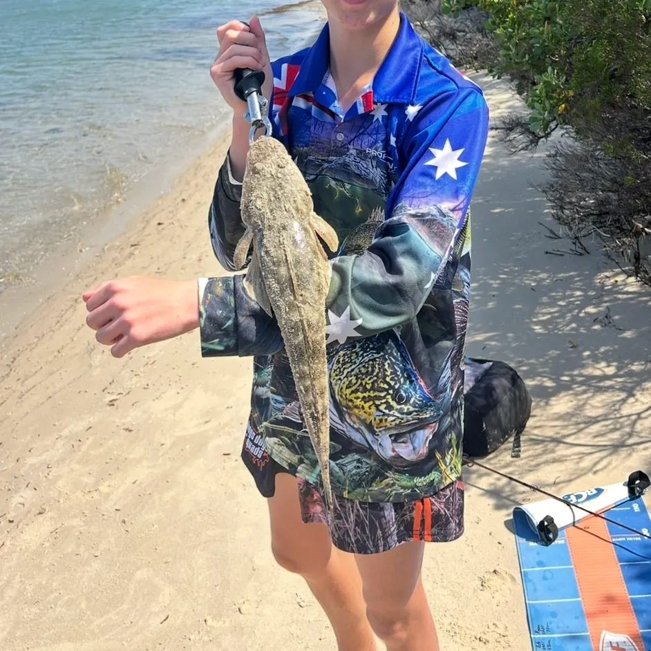Dusky flathead caught on Fishbrain