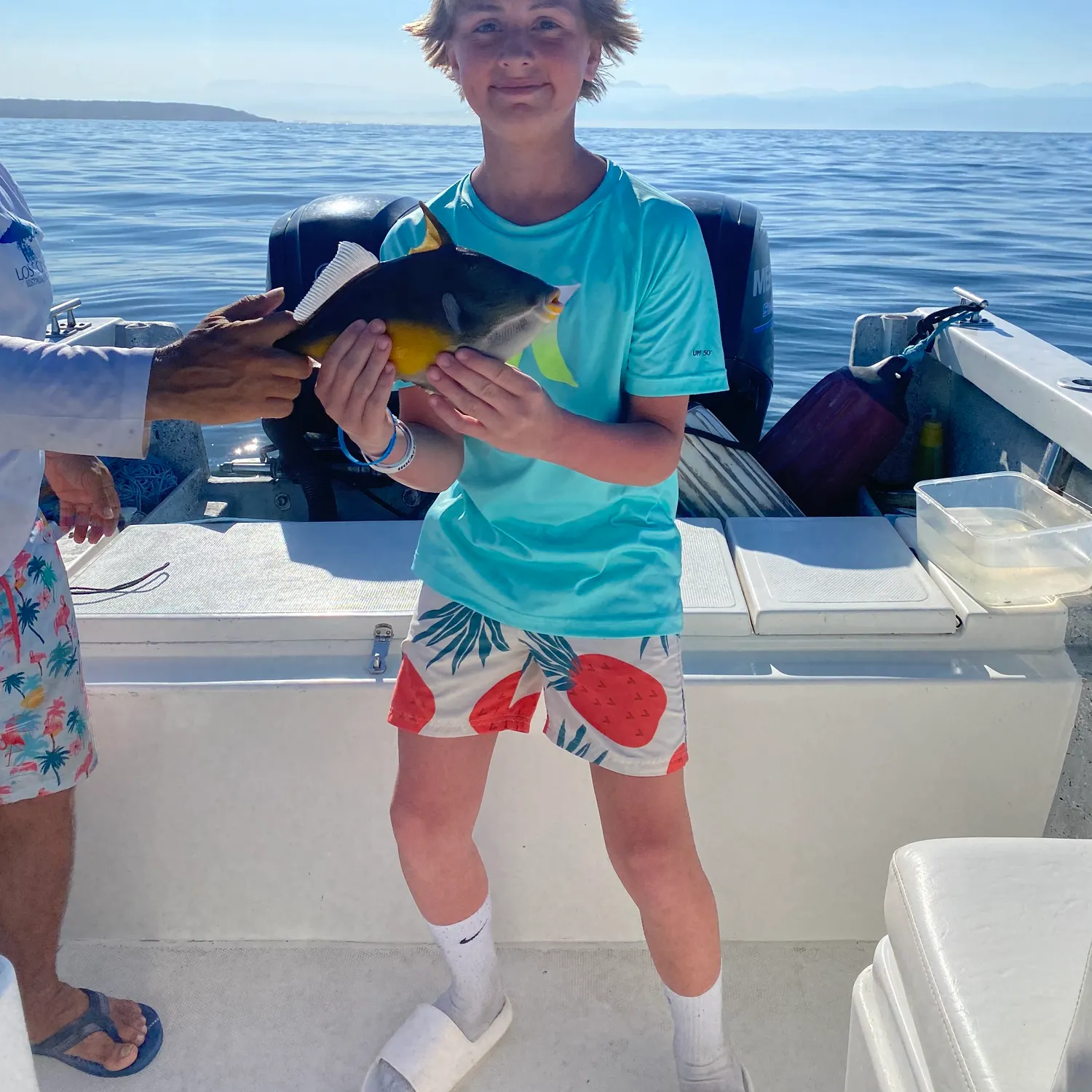 The most recent Orangeside triggerfish catches on Fishbrain