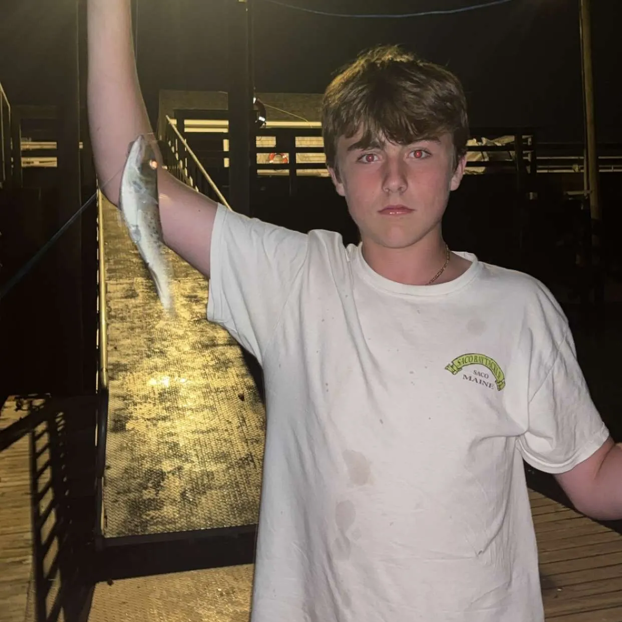 The most recent Gulf menhaden catches on Fishbrain