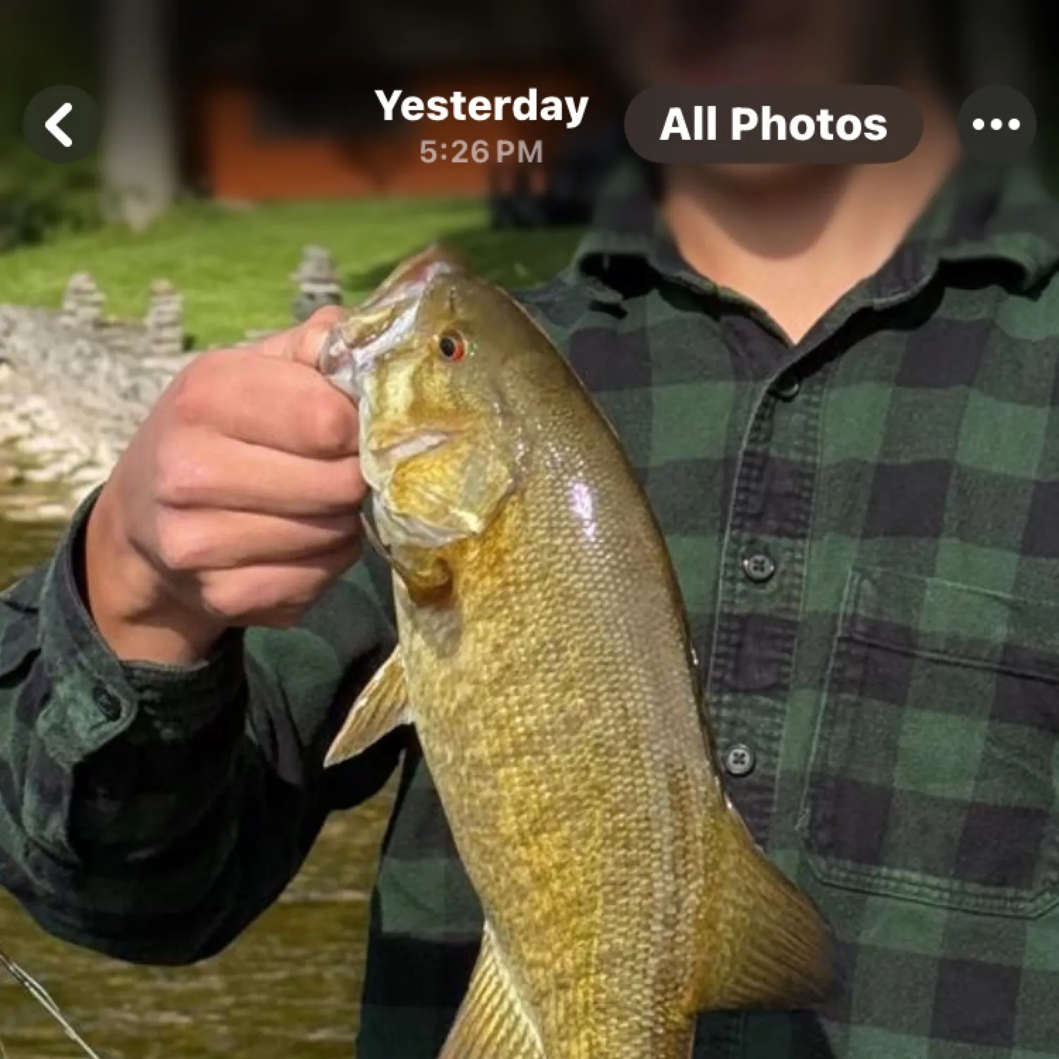 recently logged catches