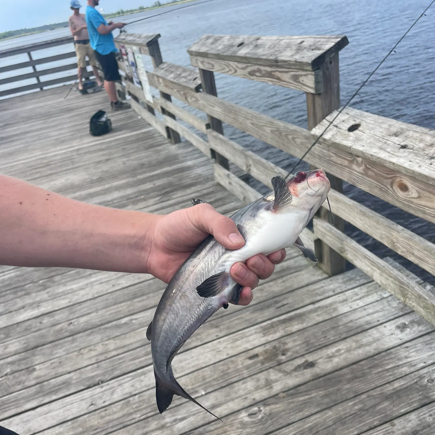catch