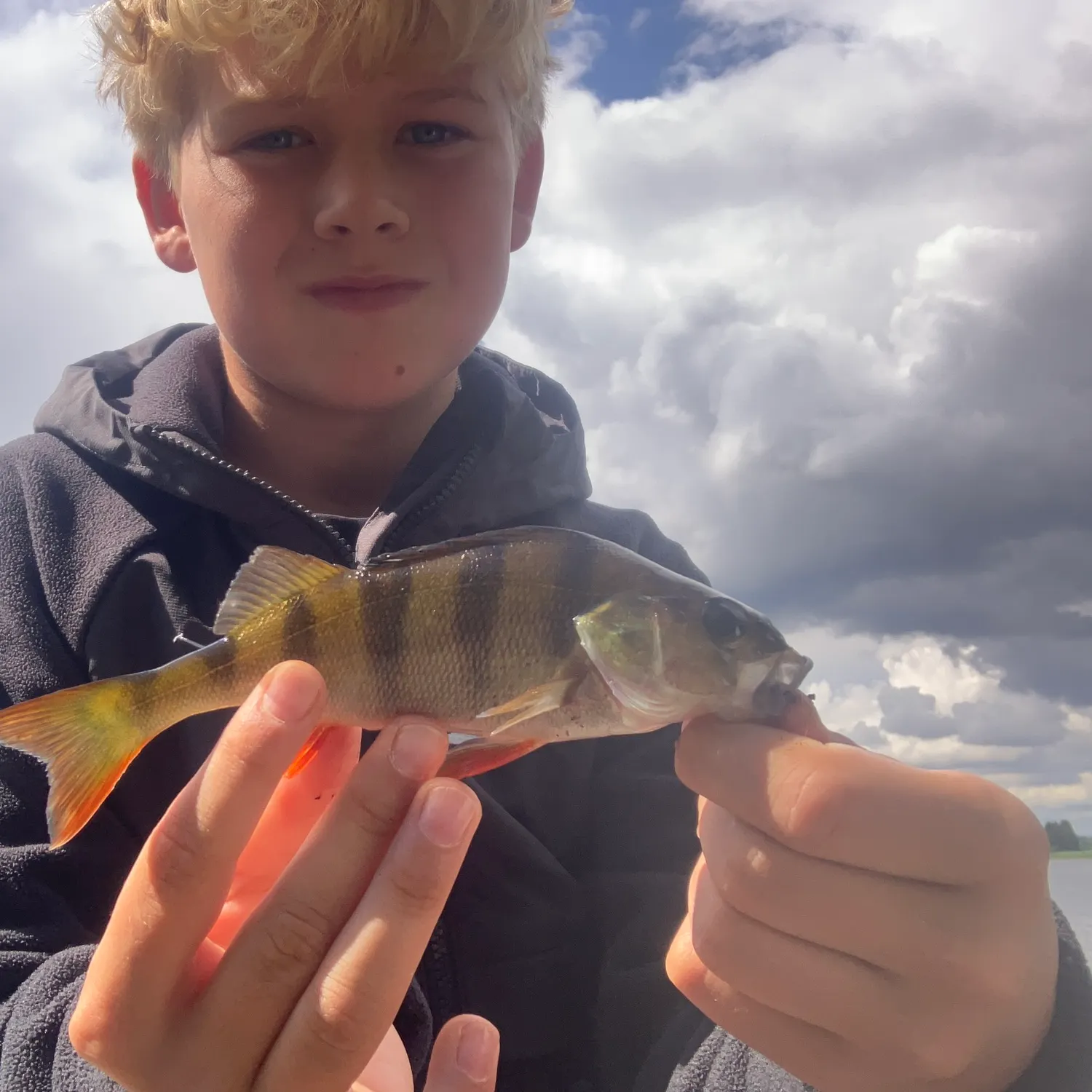 European perch caught on Fishbrain