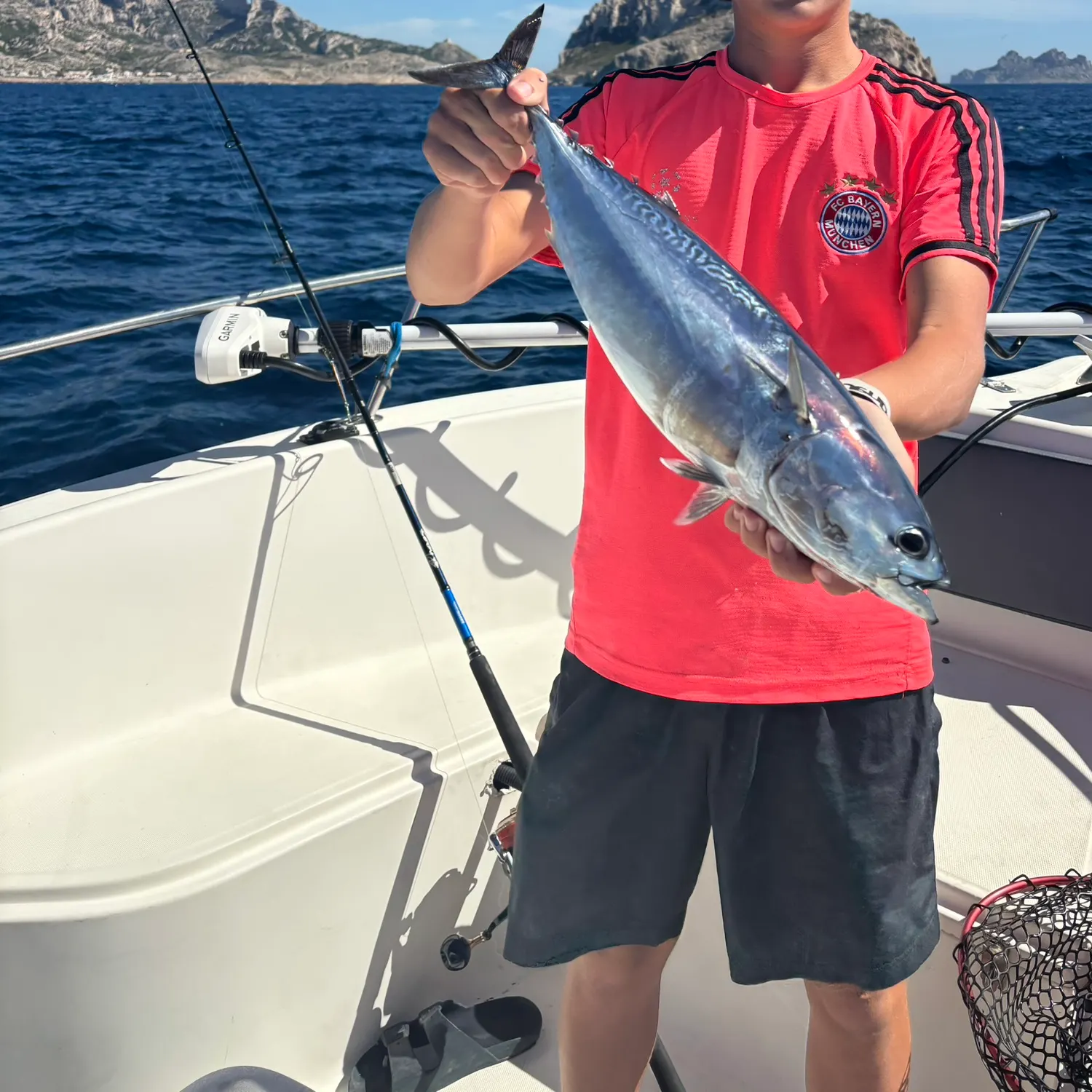 The most recent Striped bonito catches on Fishbrain