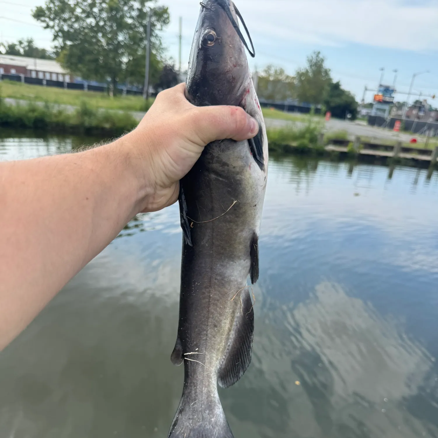 catch